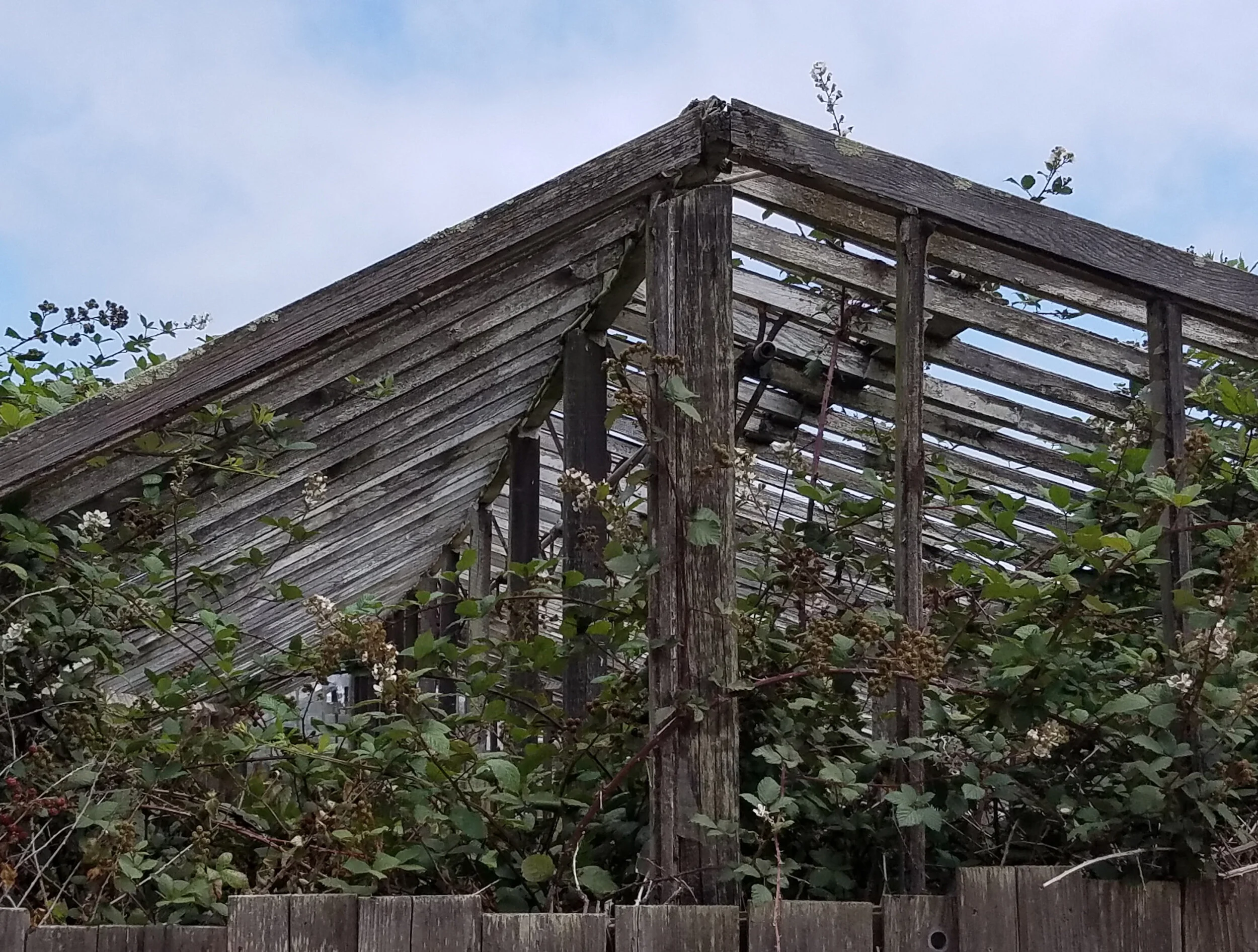 Friends of 770 Woolsey