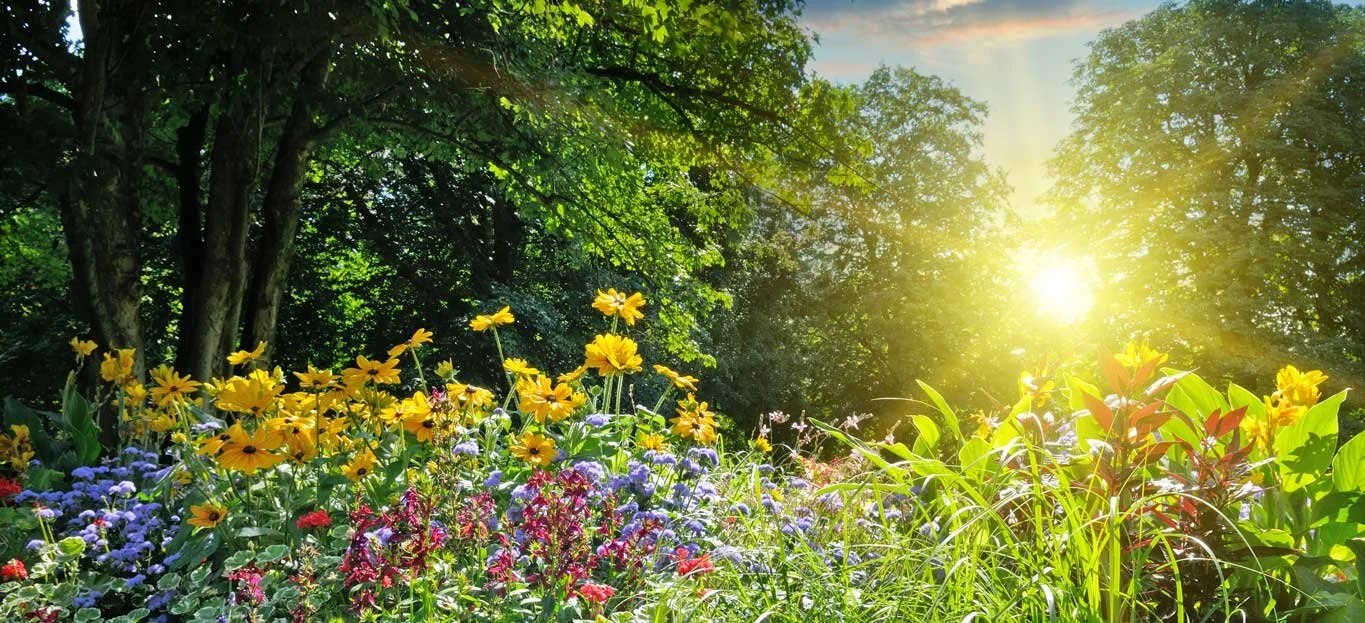 Marching into Spring!