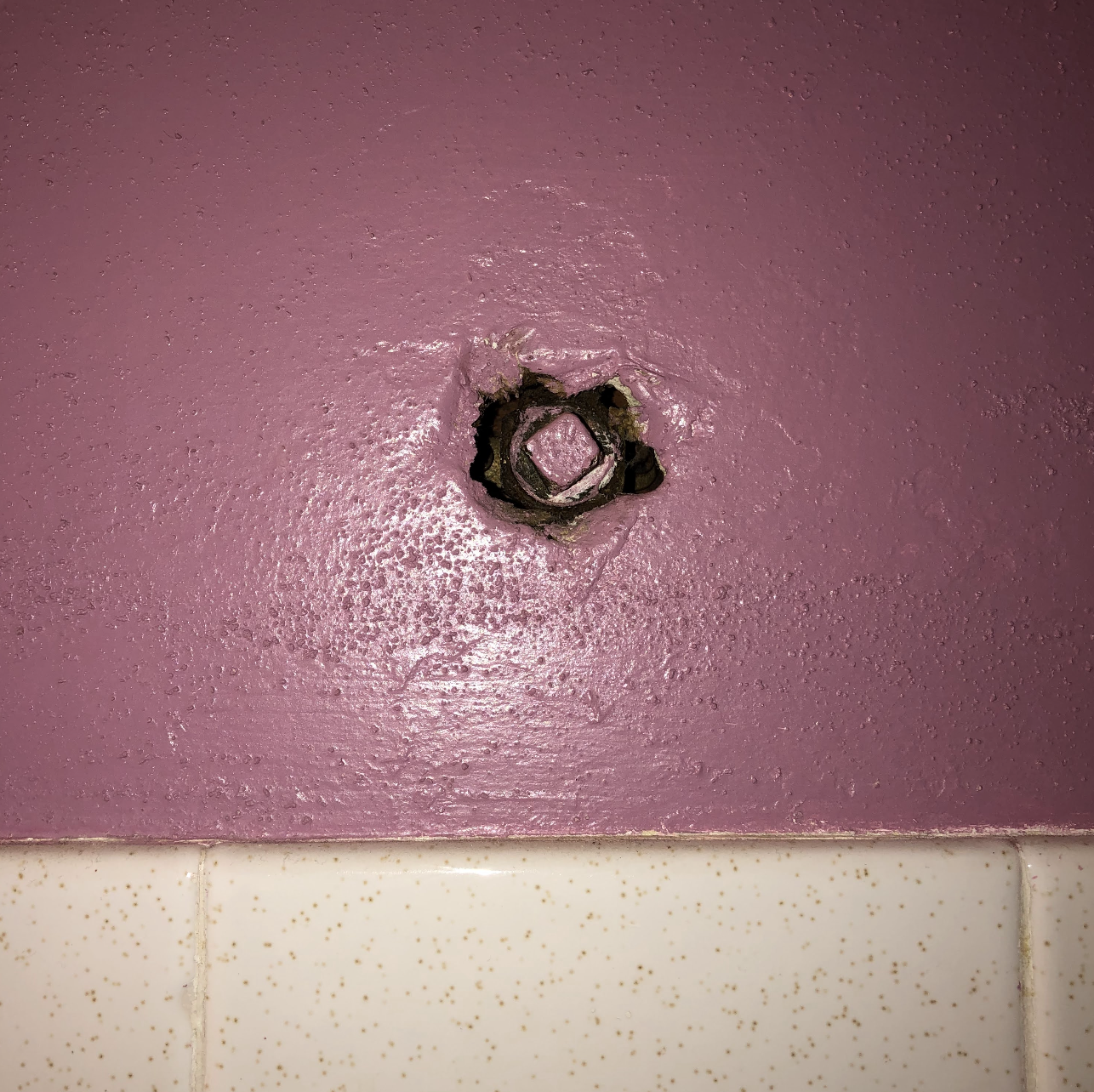 She put a bolt in the shower head pipe. No one will shower in that bathroom!