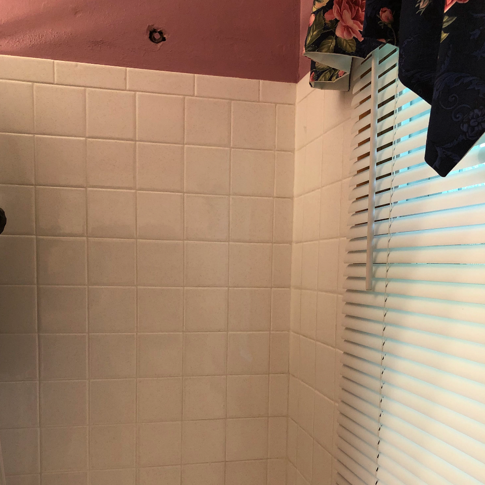She thought the window would rot if the shower was used. She designed the damn house! She put that window there.