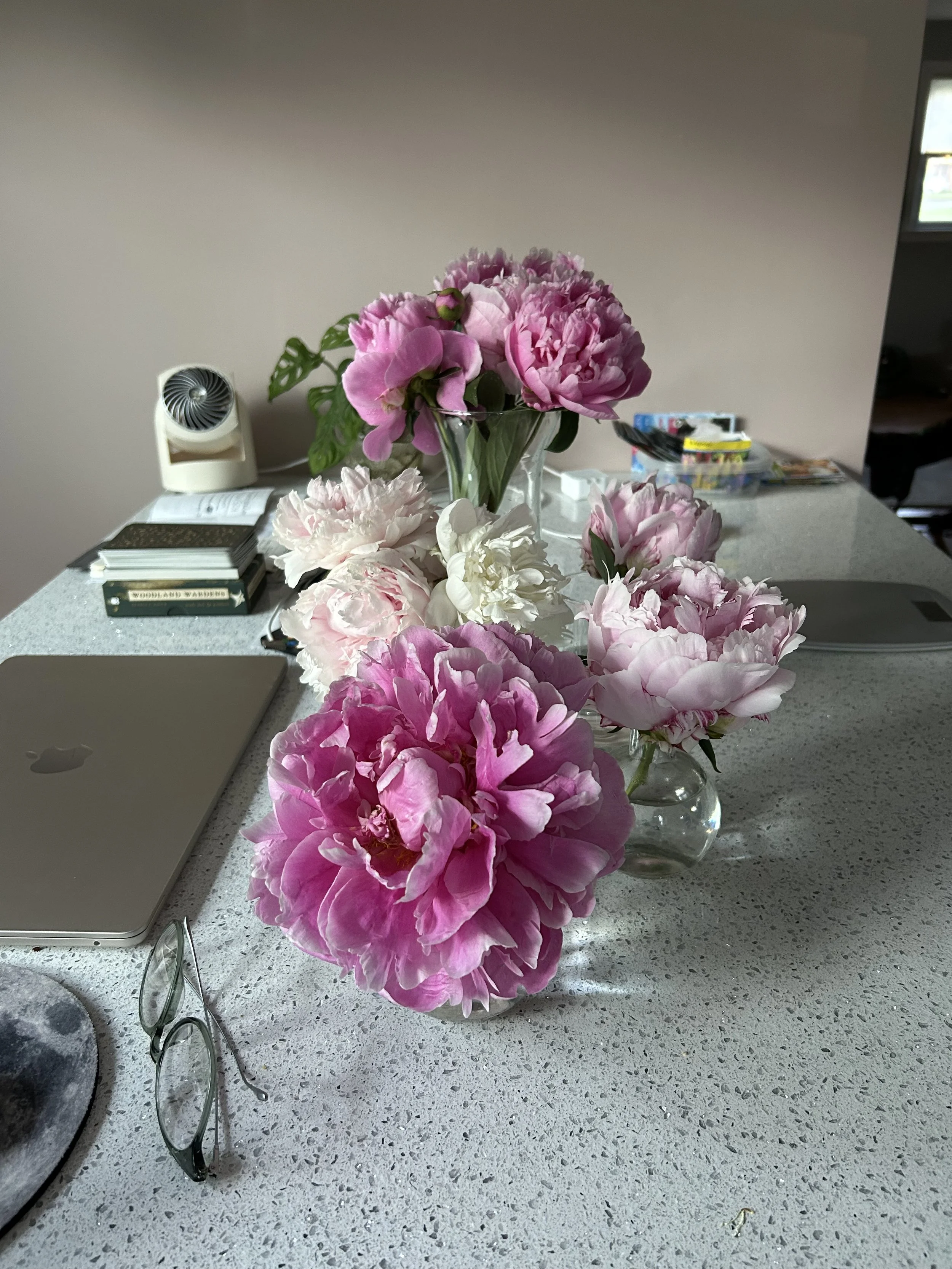 Dragging my carcass through a book proposal