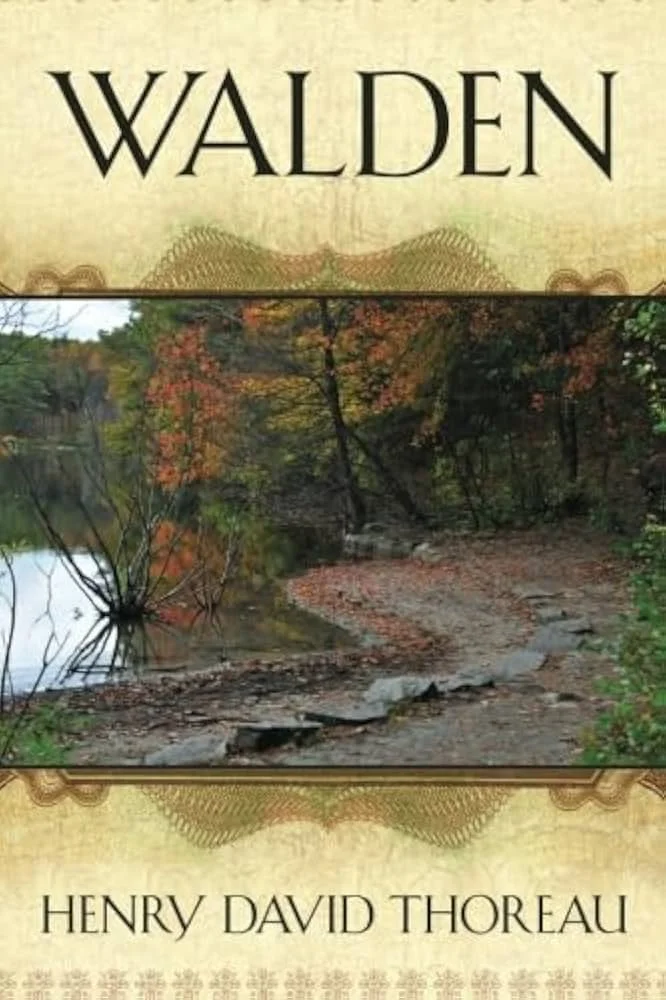 51wHSYvY+wL._AC_UF1000,1000_QL80_.jpg