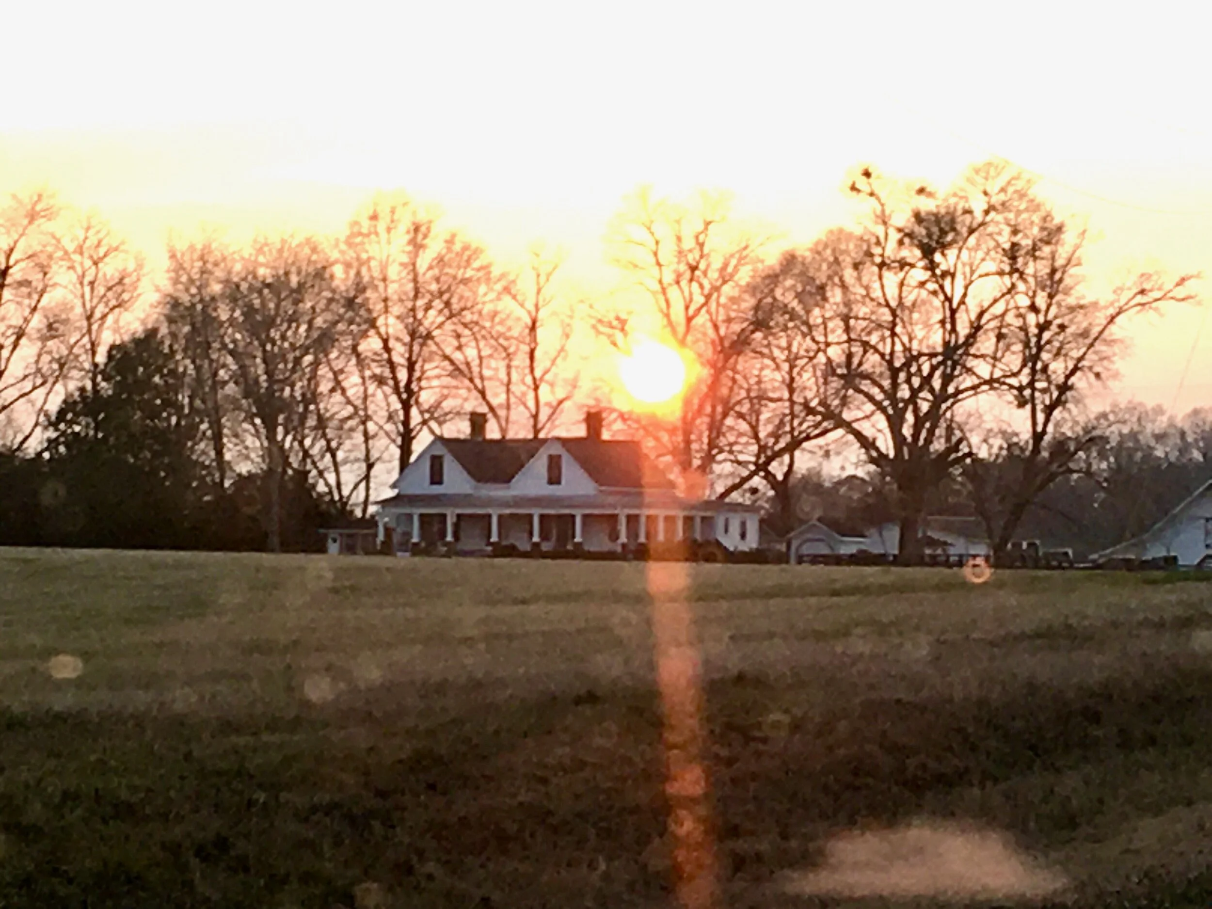 Our Team — Wild Daisy Farm