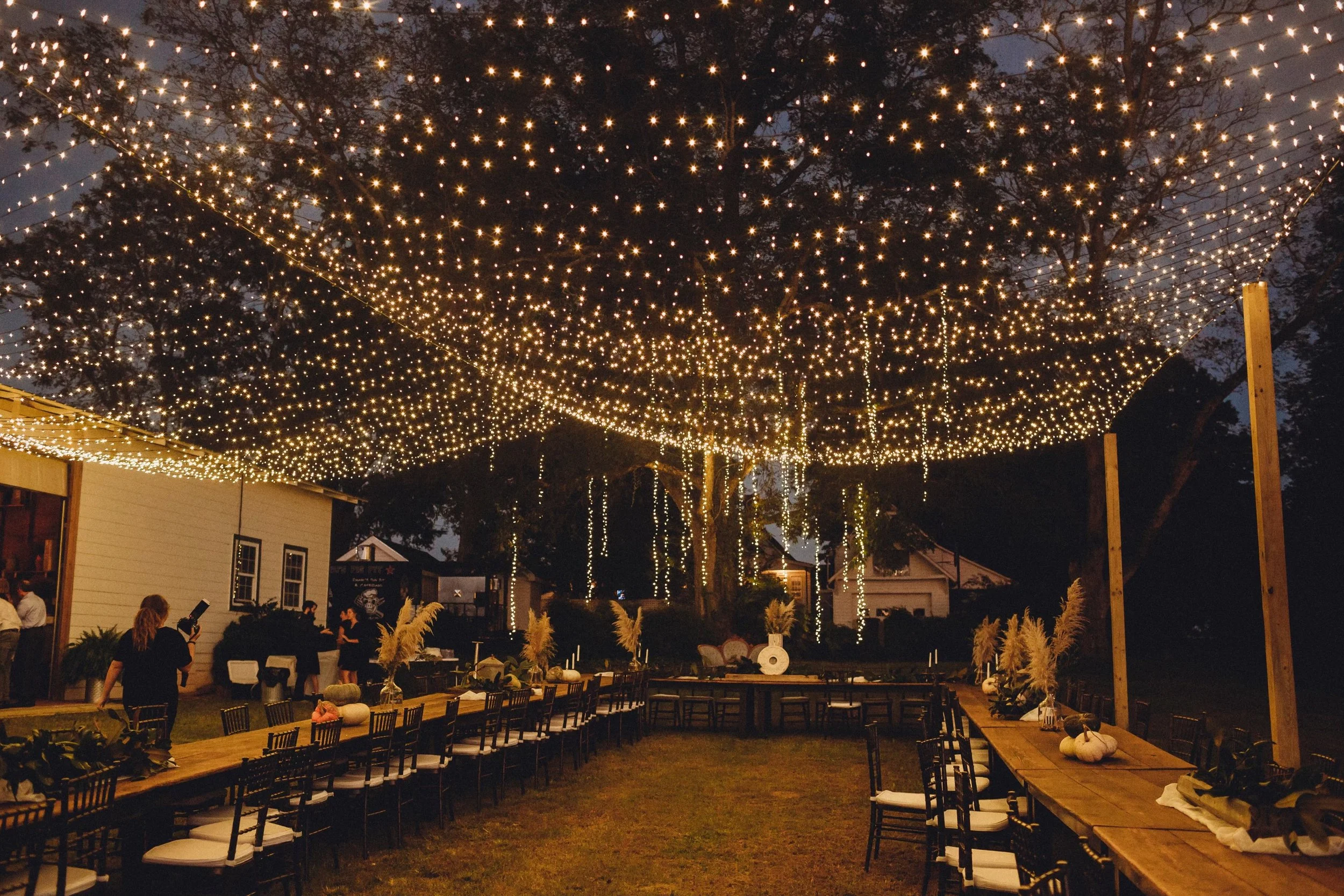 Gallery — Wild Daisy Farm