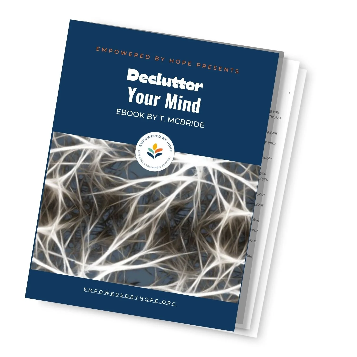 An Ebook from T. McBride: Declutter your Mind