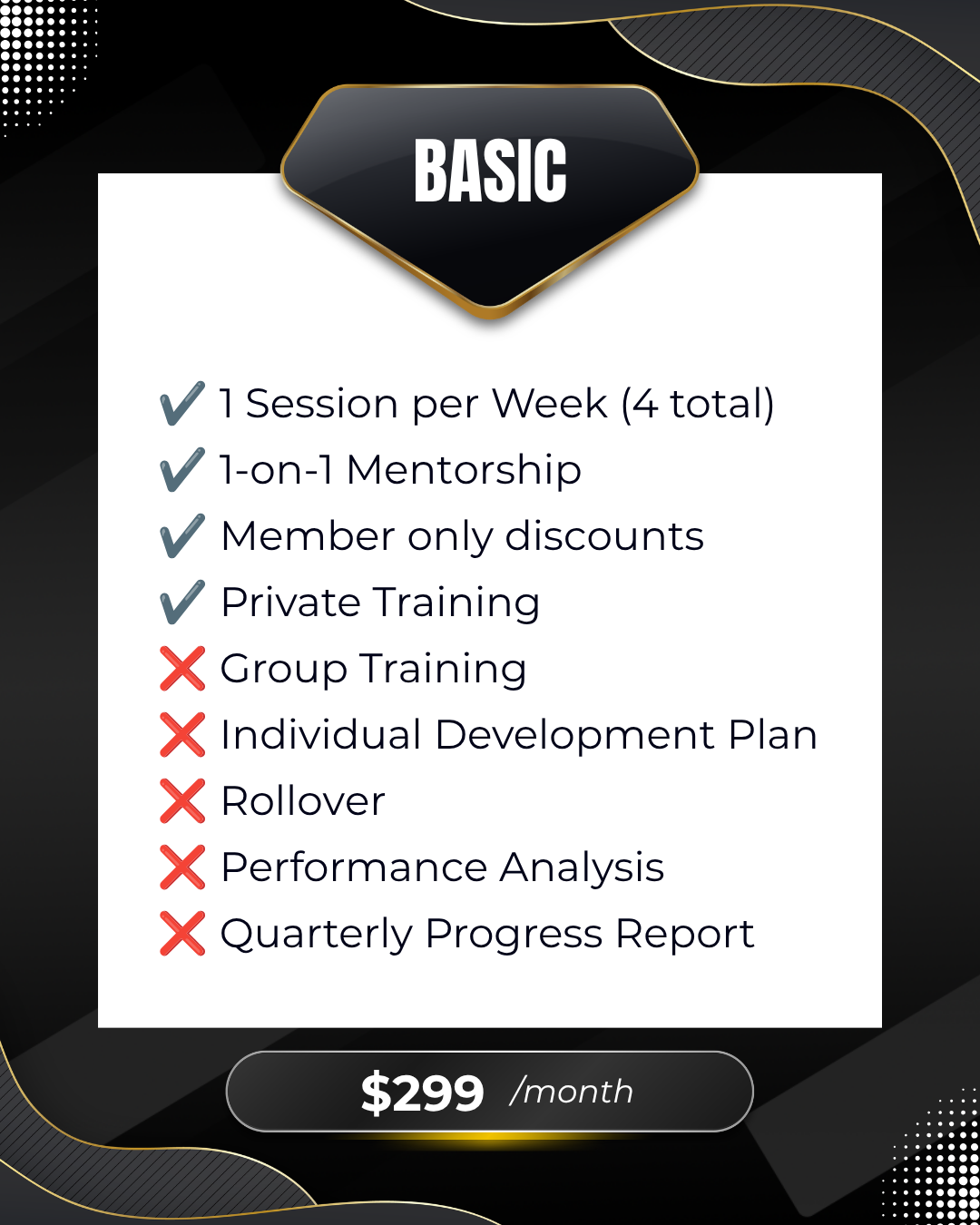 Perks associated with a Basic Subscription Package