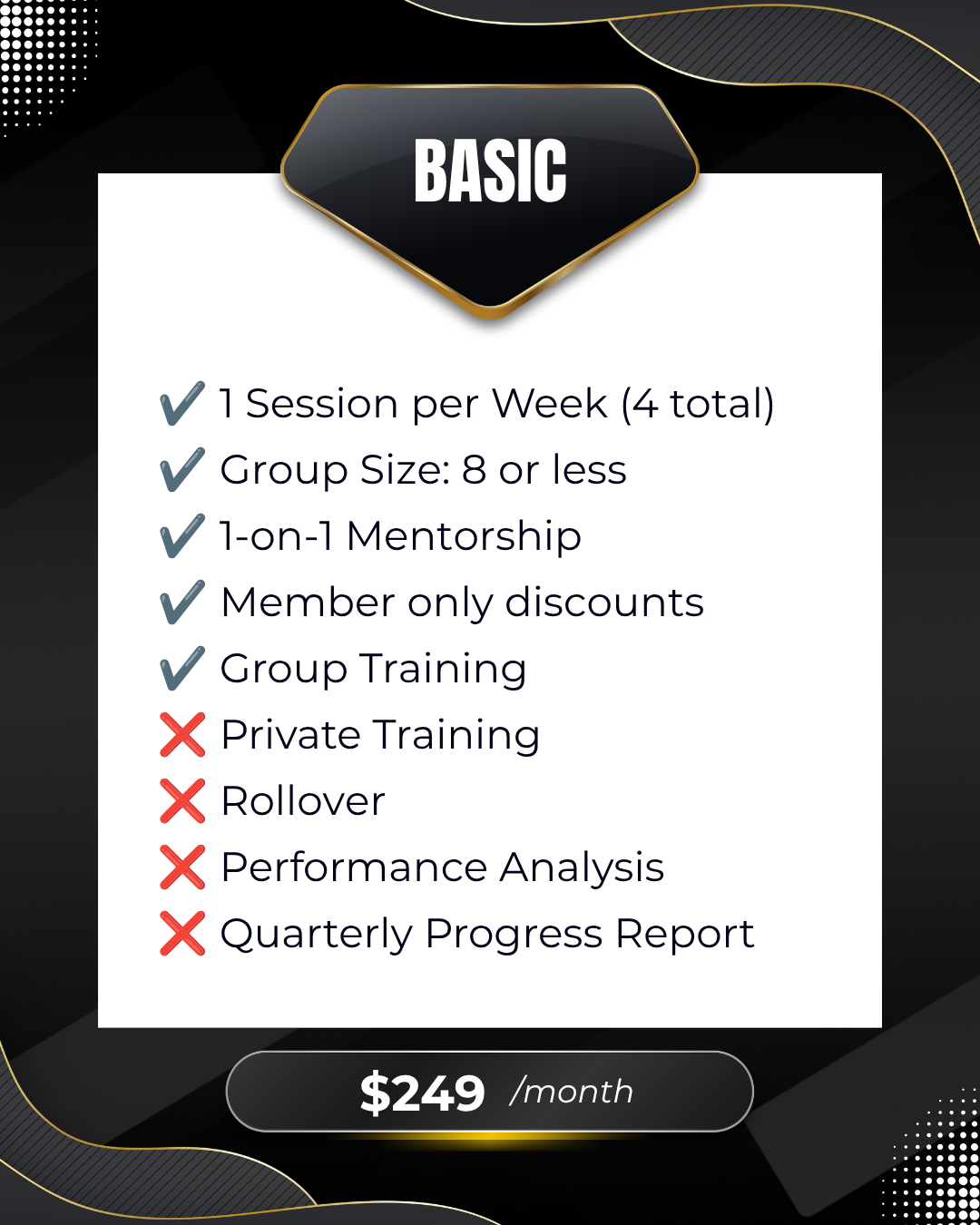 Perks associated with a Basic Subscription Package