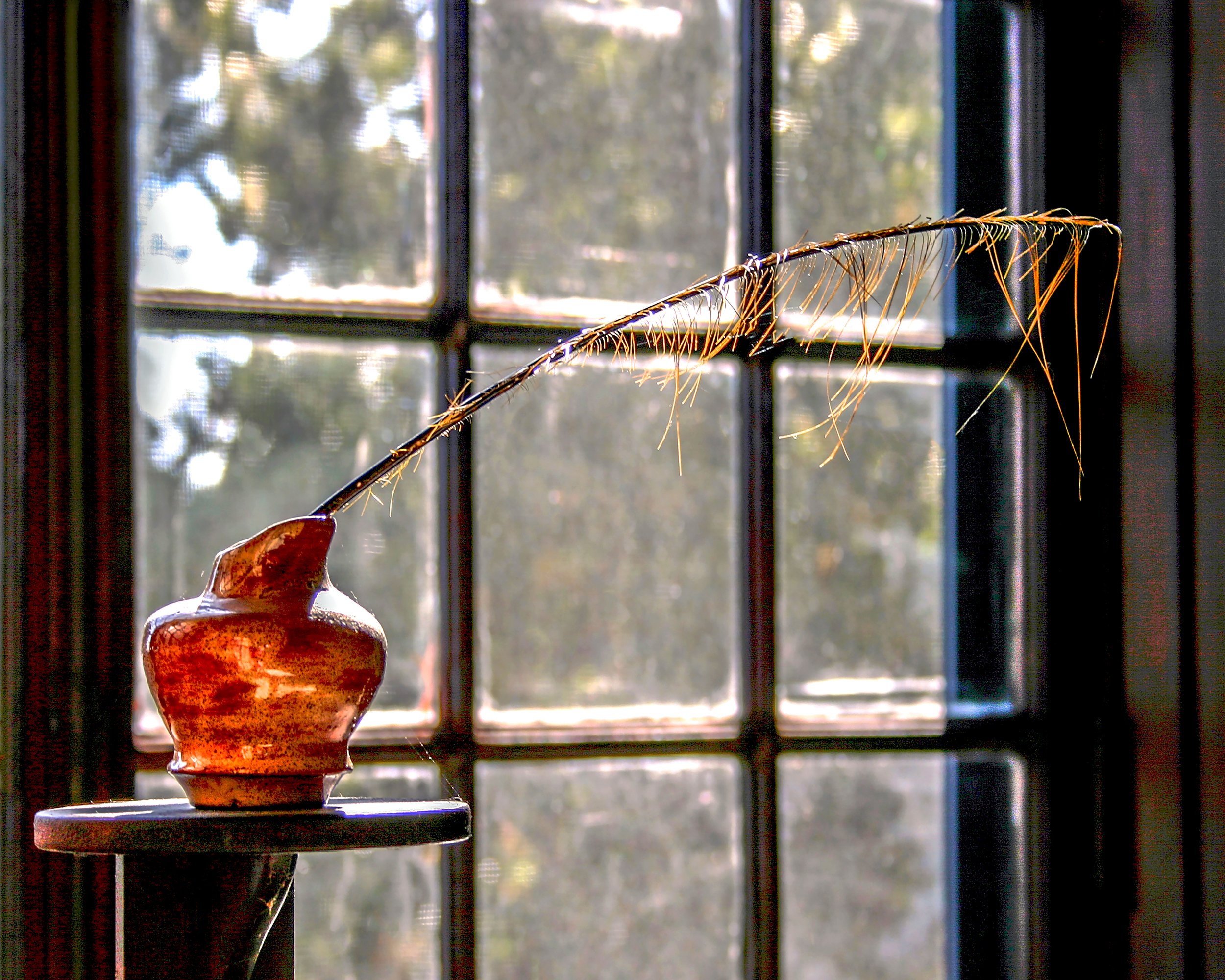 F19 A view to a Quill.jpg