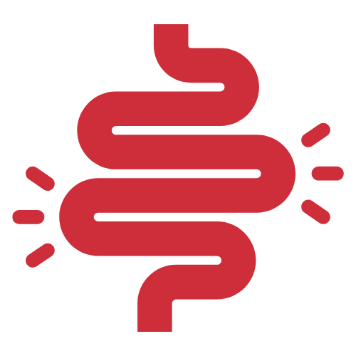 Icon of the digestive tract, for digestive health care