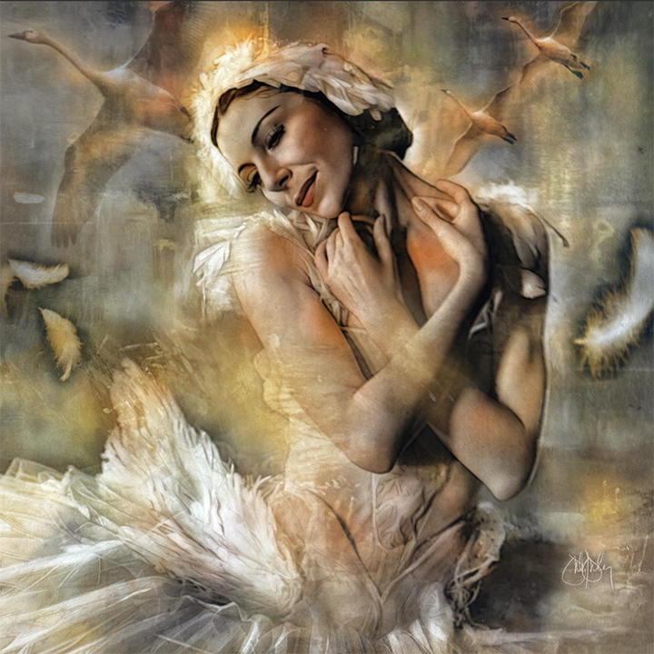 Swan Lake 16x16 oils