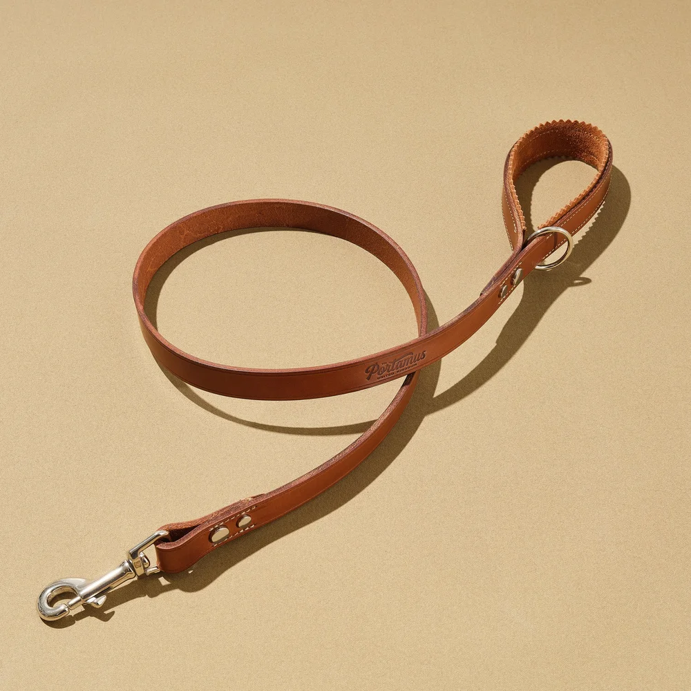 Dog Leashes: Dog Leash - Portamus
