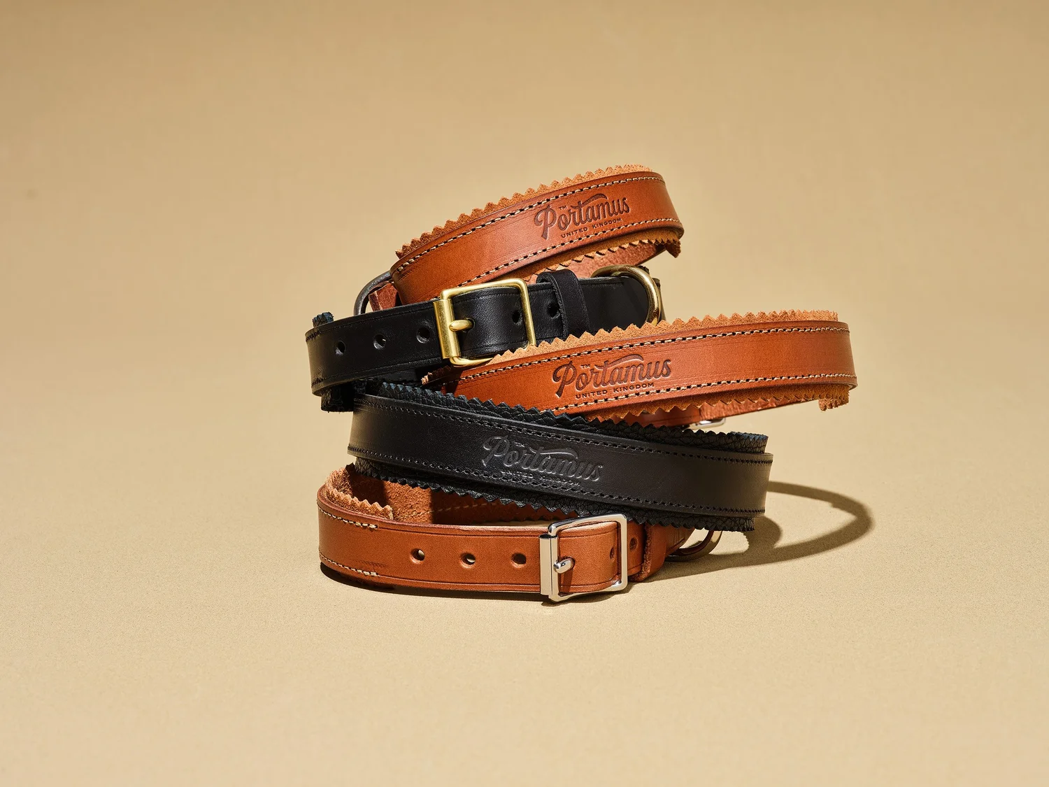 Dog Collars & Harnesses: Dog Collar - Portamus