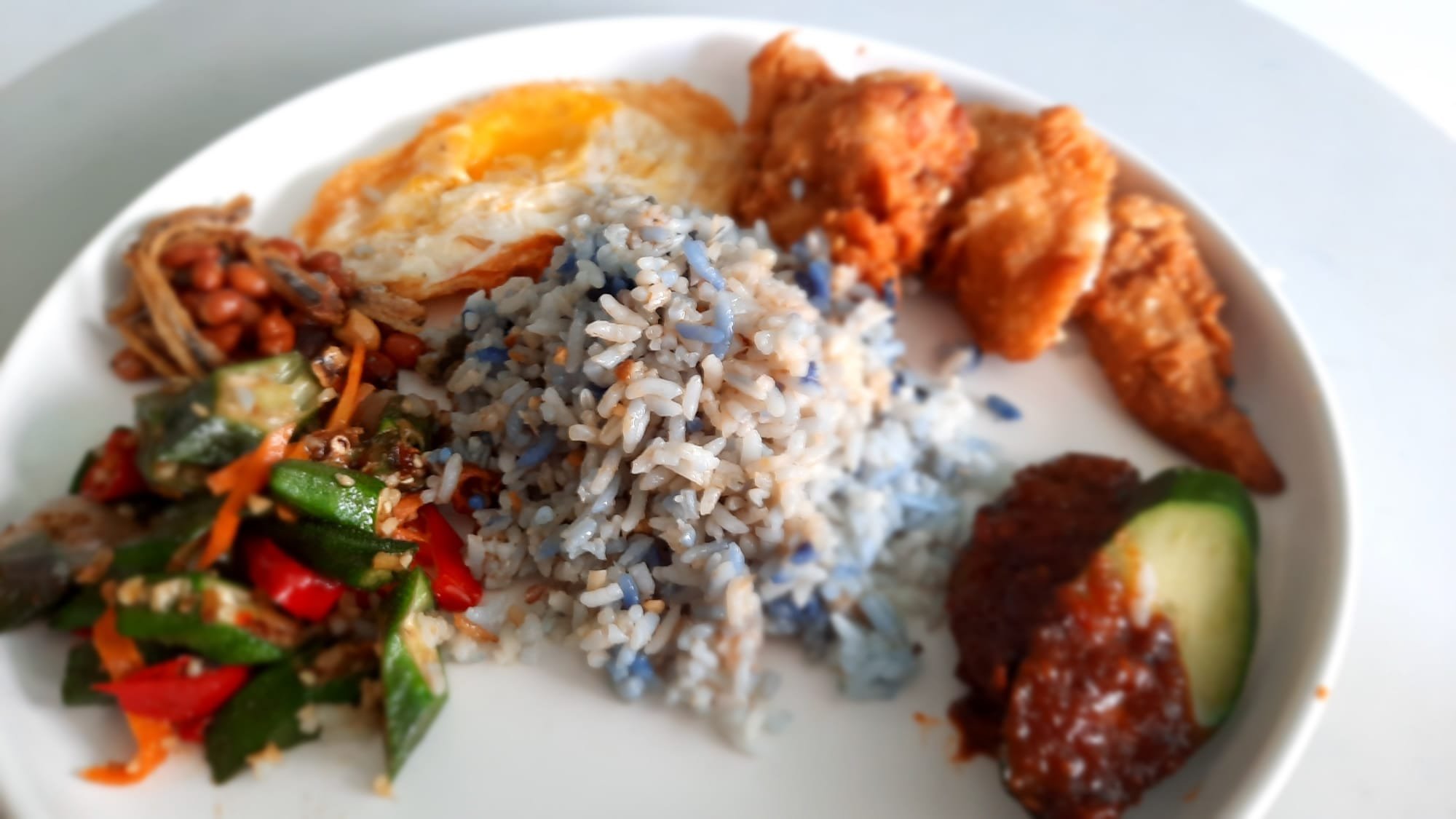 The Nasi Lemak Plan
