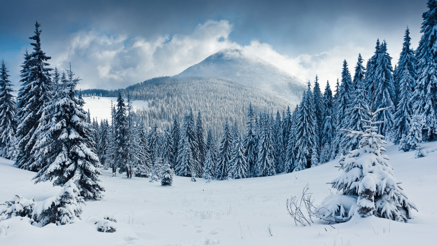 341-Winter-on-the-Frontier.png