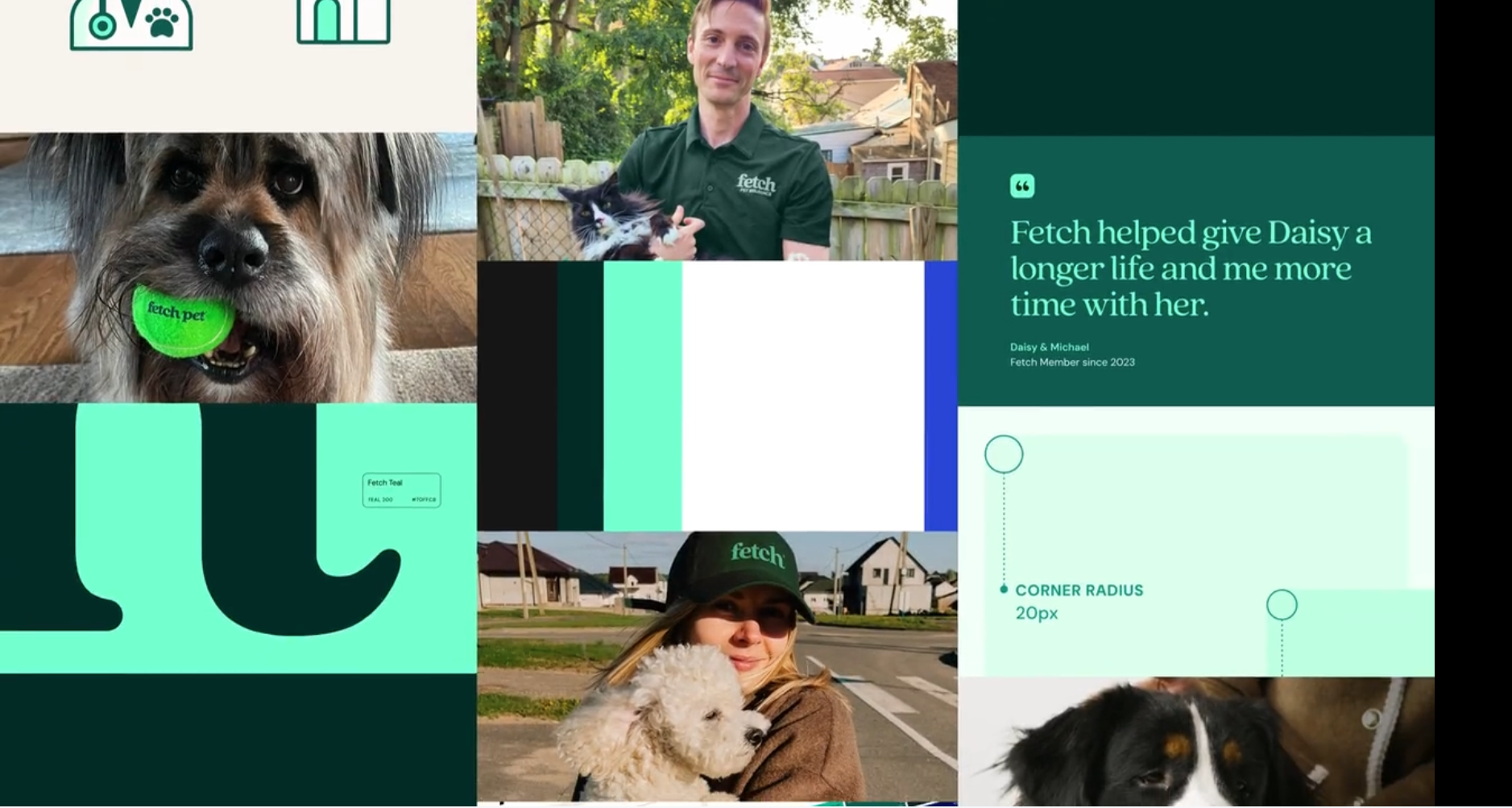 Fetch Rebrand Sizzle