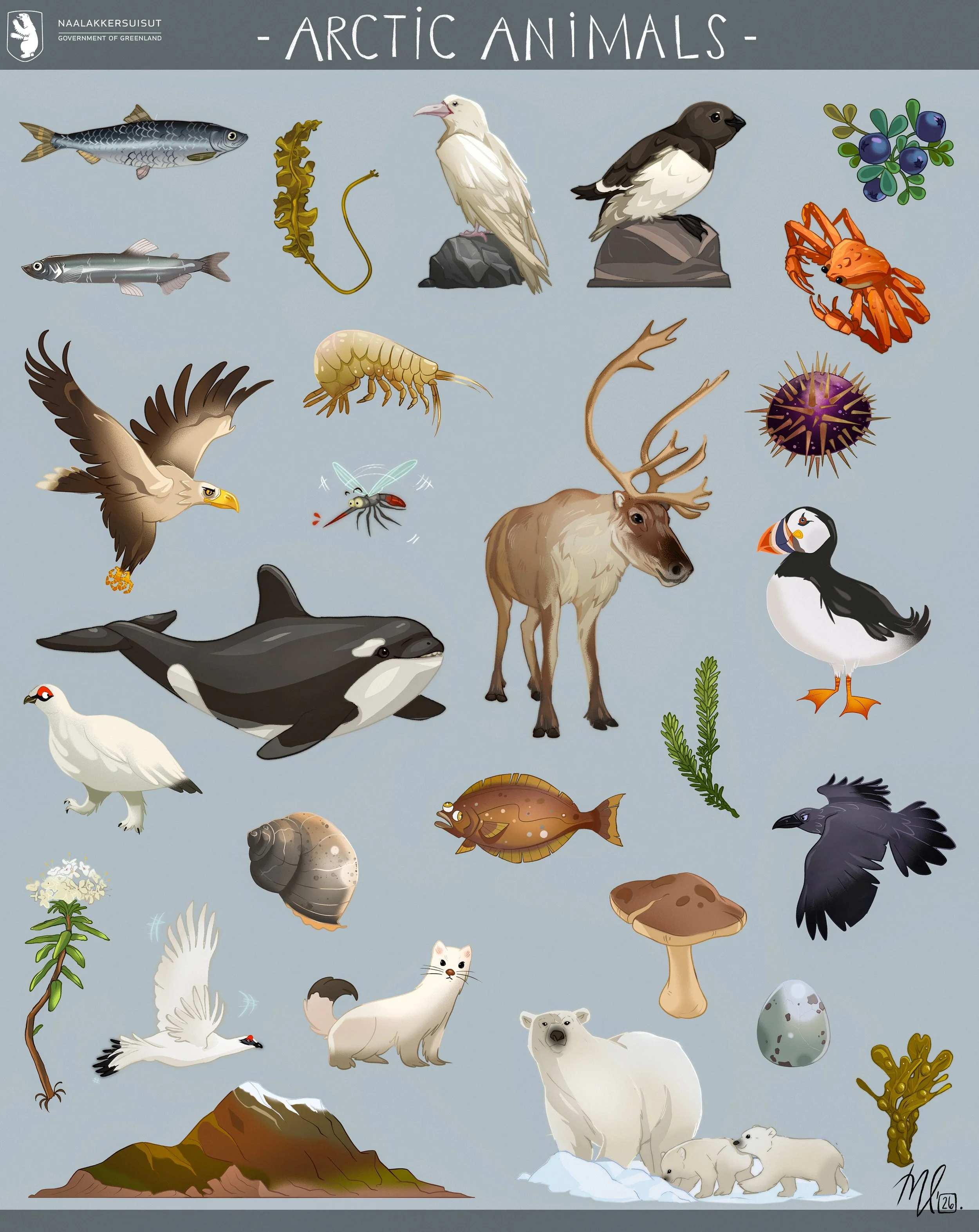Arctic_Animals_ML.jpg