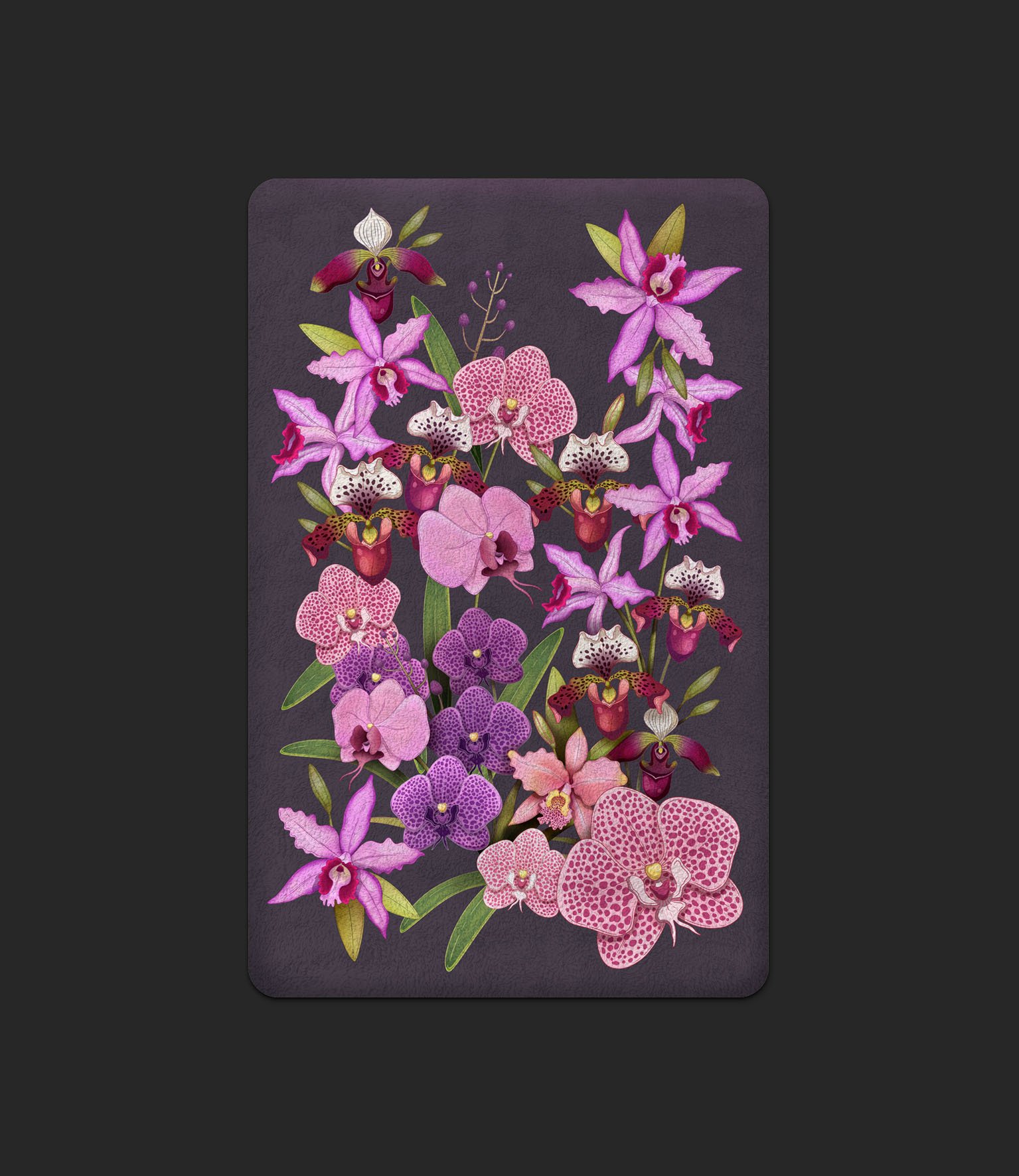 orquideas-purple.jpg