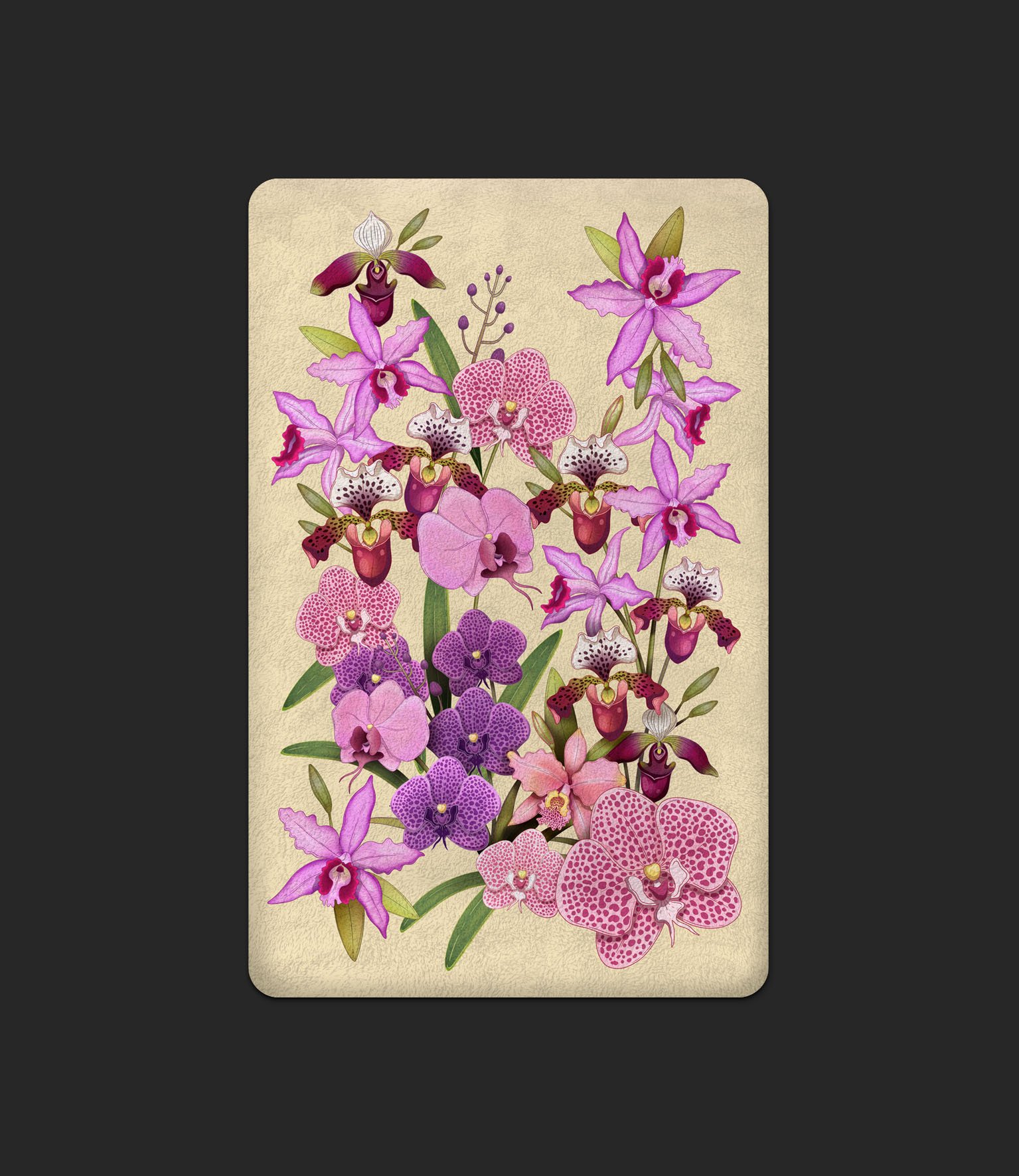 orquideas-ivory.jpg