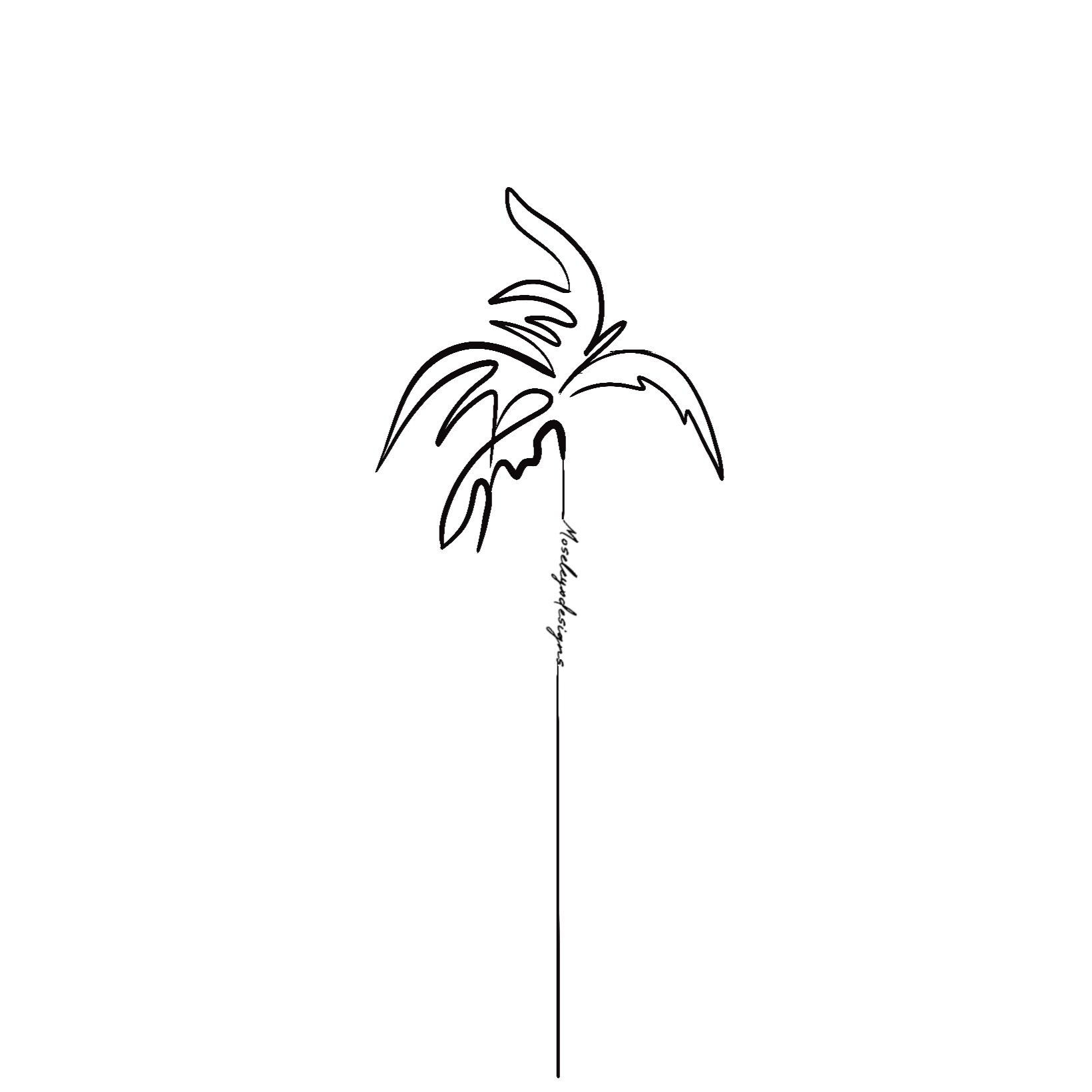 Palmtree-250427.jpg