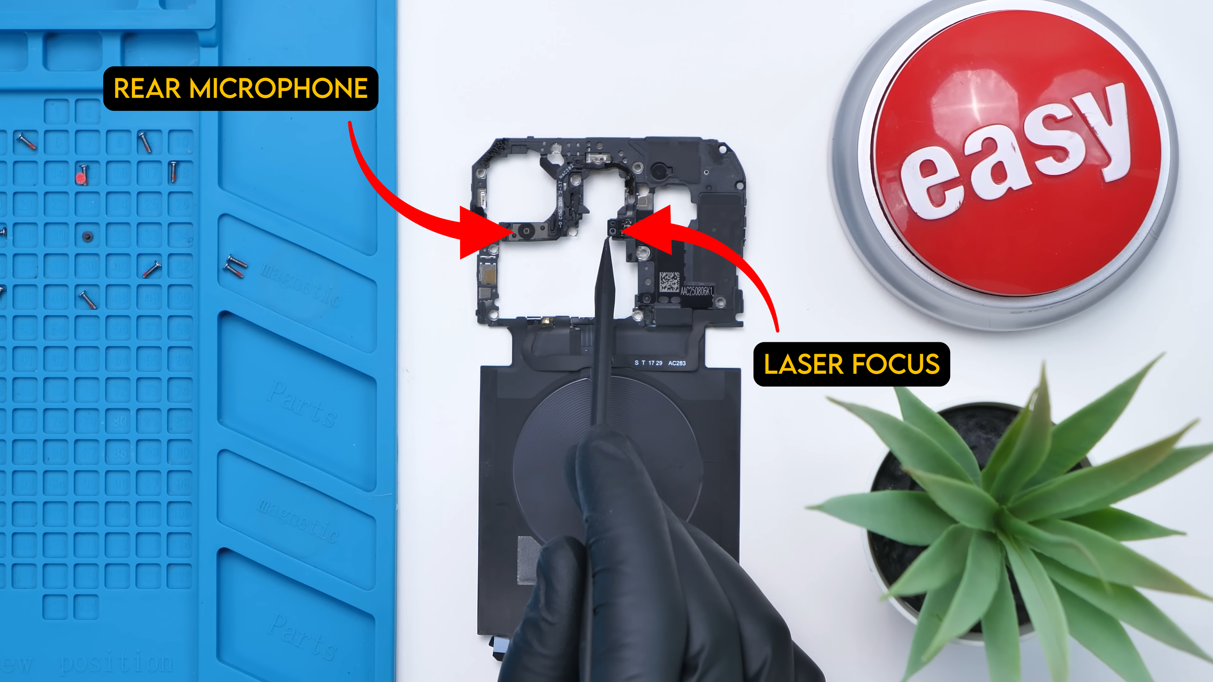 Screen Layer.png