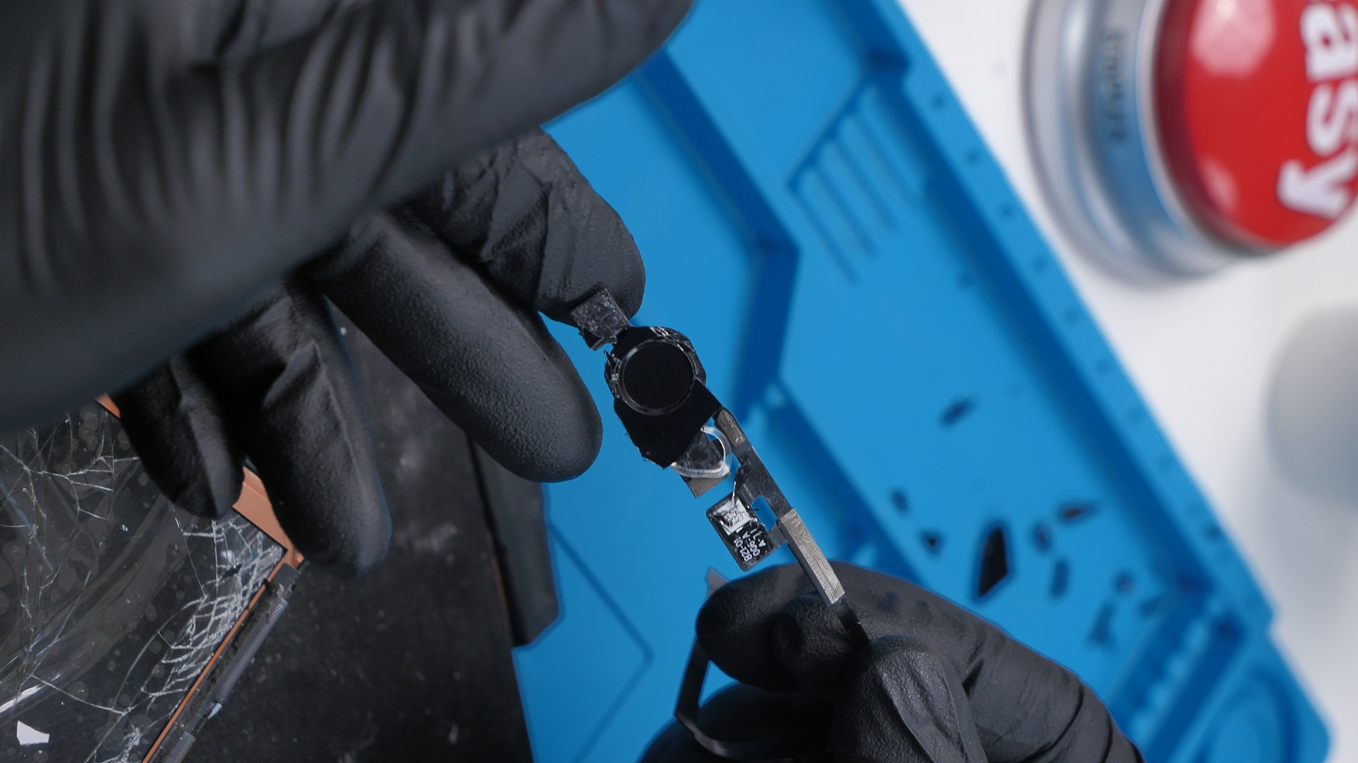 Screenshot 2026-01-29 011523.png