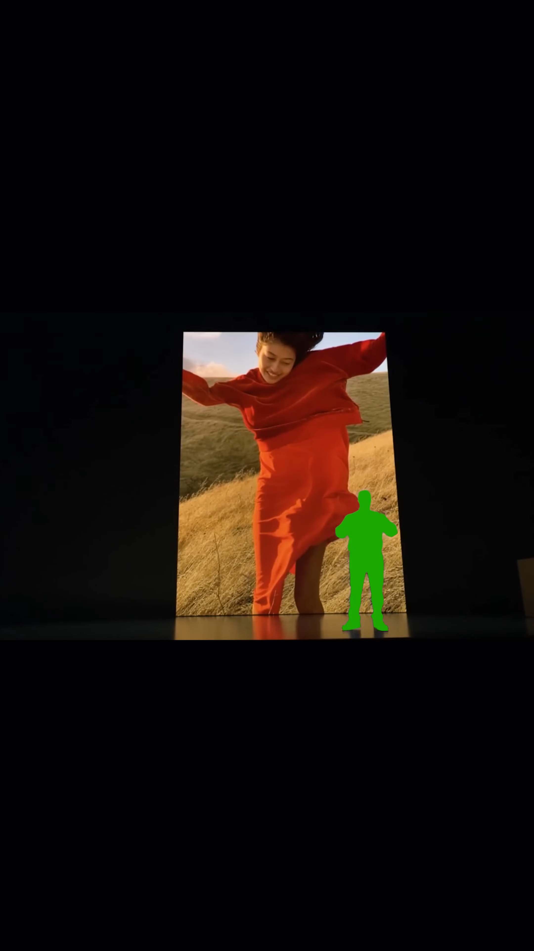 videoframe_20373.png