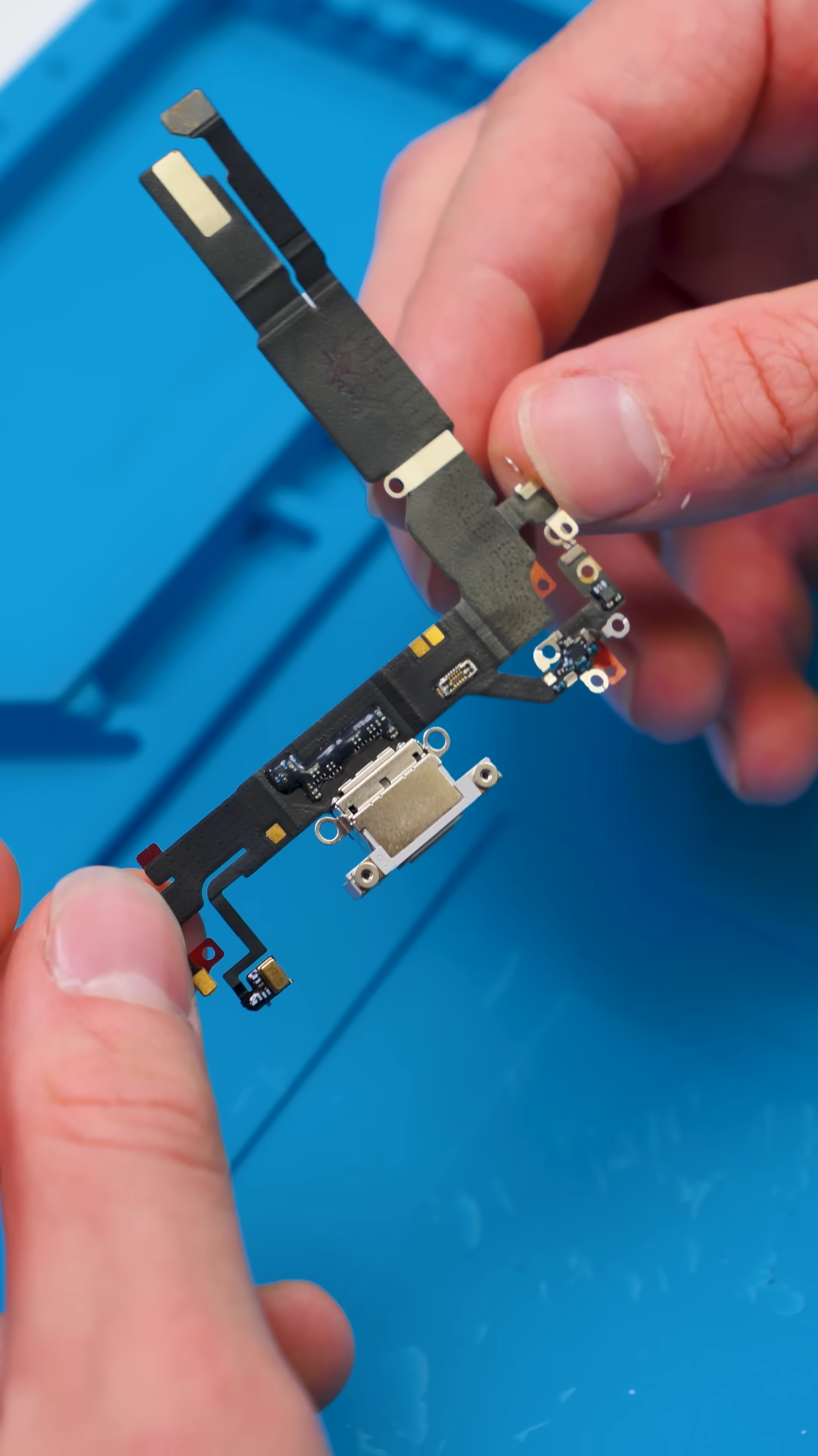 videoframe_25904.png