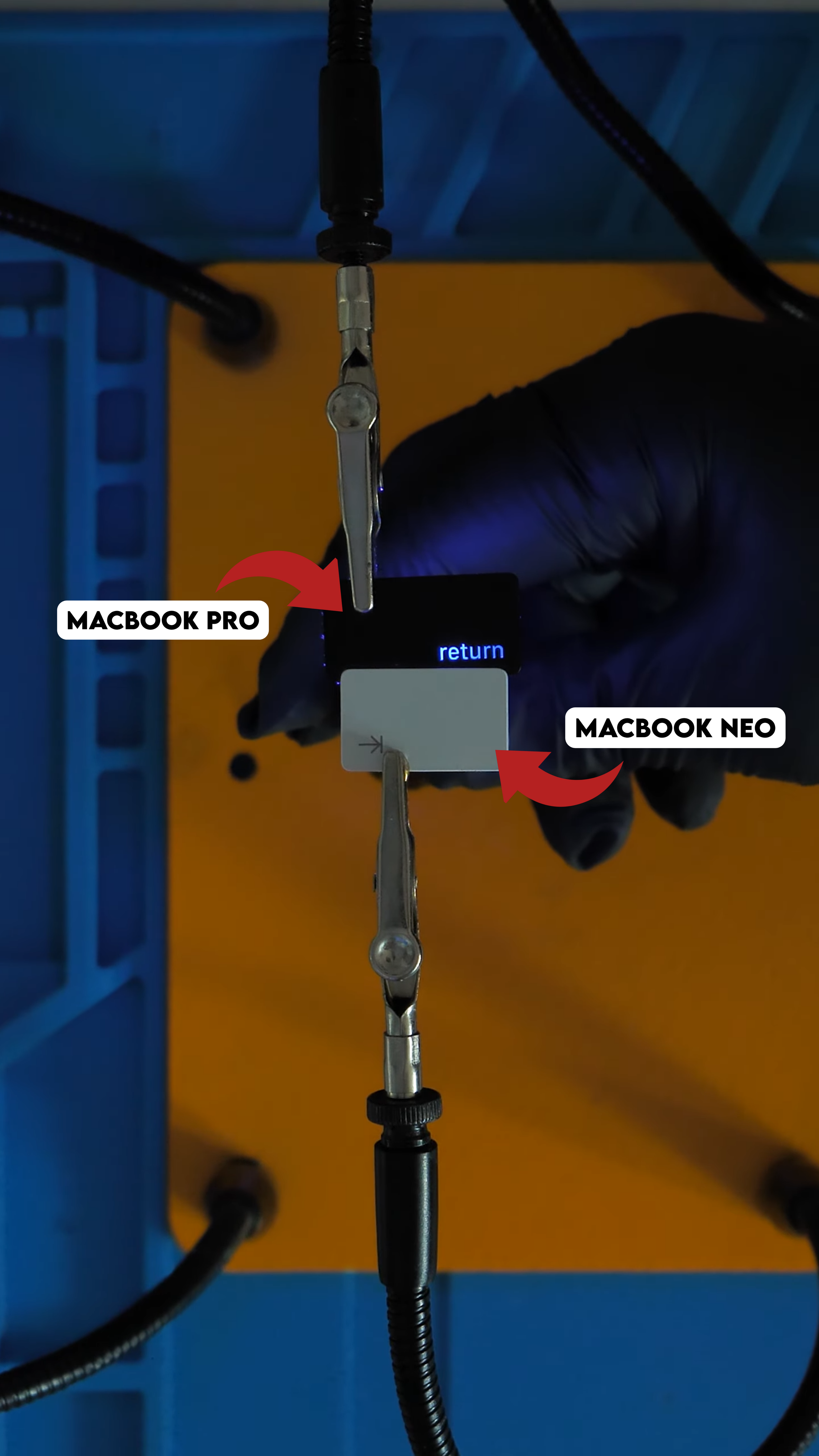 short.png