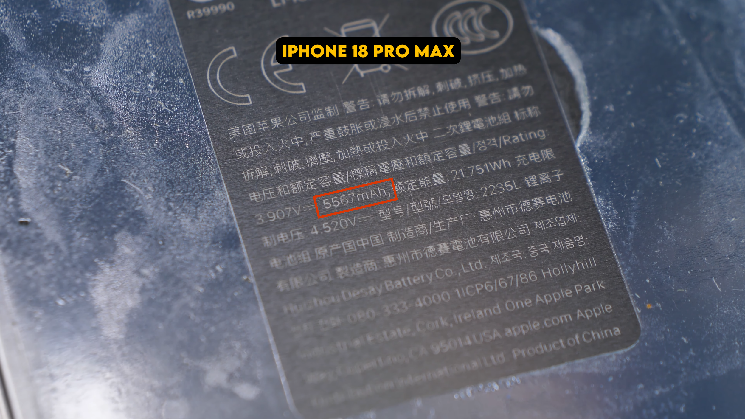 fake (8).png