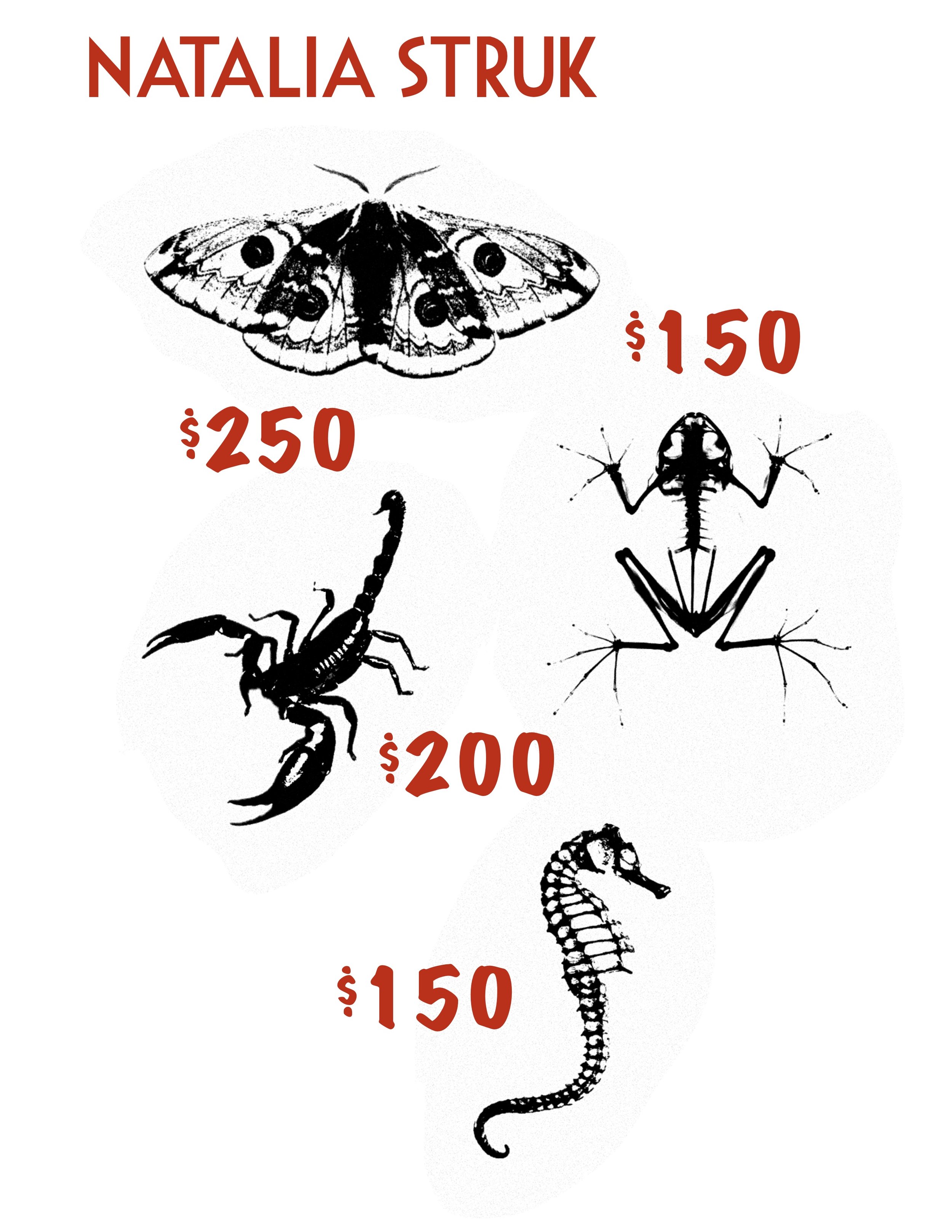 Untitled_Artwork 12.jpg