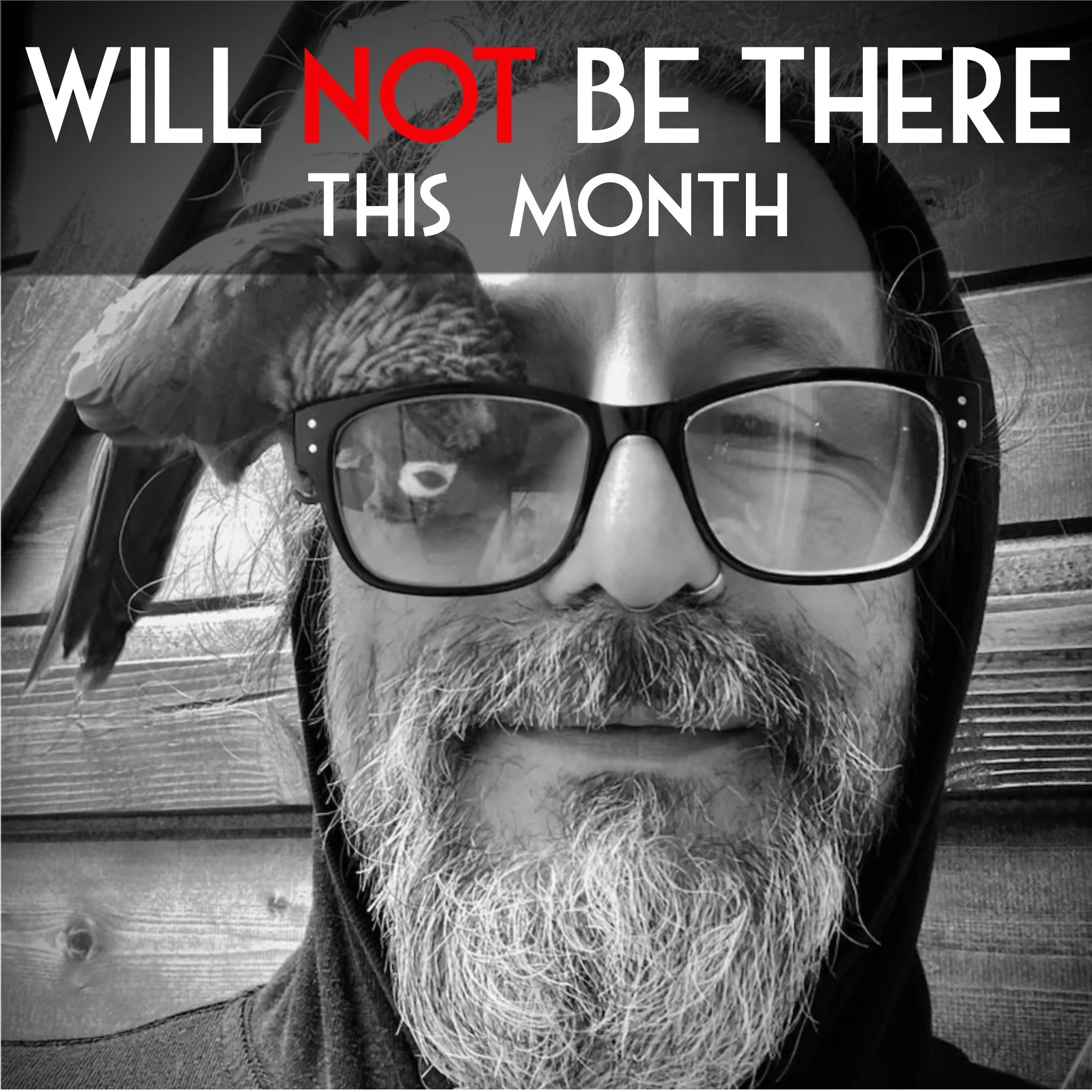 A person wearing glasses, with a lot of gray and white beard and hair, lies on a wooden surface with a parakeet perched on their head. Overlay text reads, 'WILL BE THERE THIS MONTH.'
