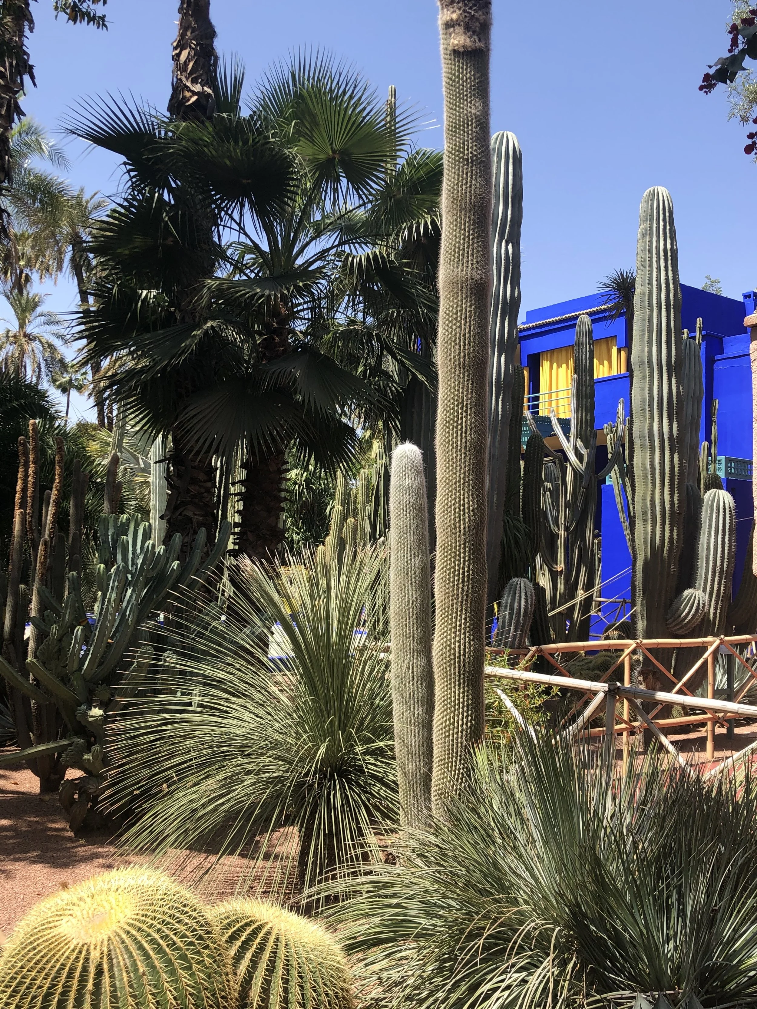 Gueliz Guide ('kech’s “new town” neighborhood)