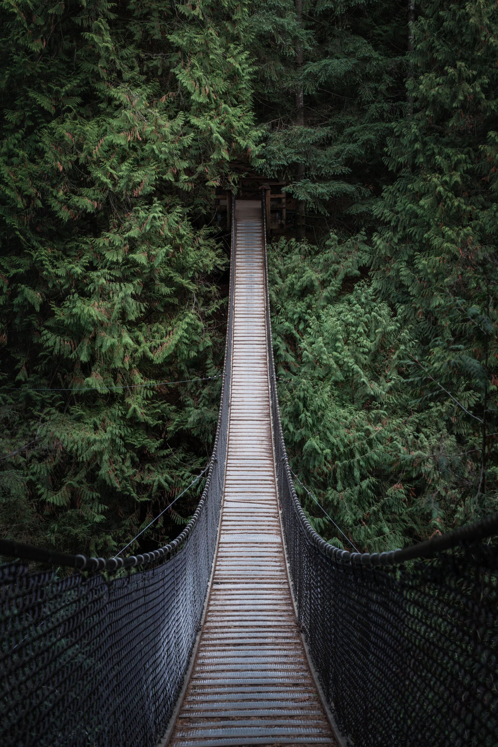12_Forest_Bridge.jpg