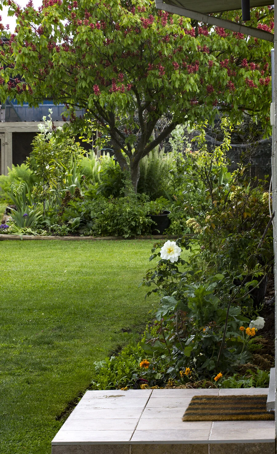 Gallery — MAGNOLIA HOUSE BED & BREAKFAST