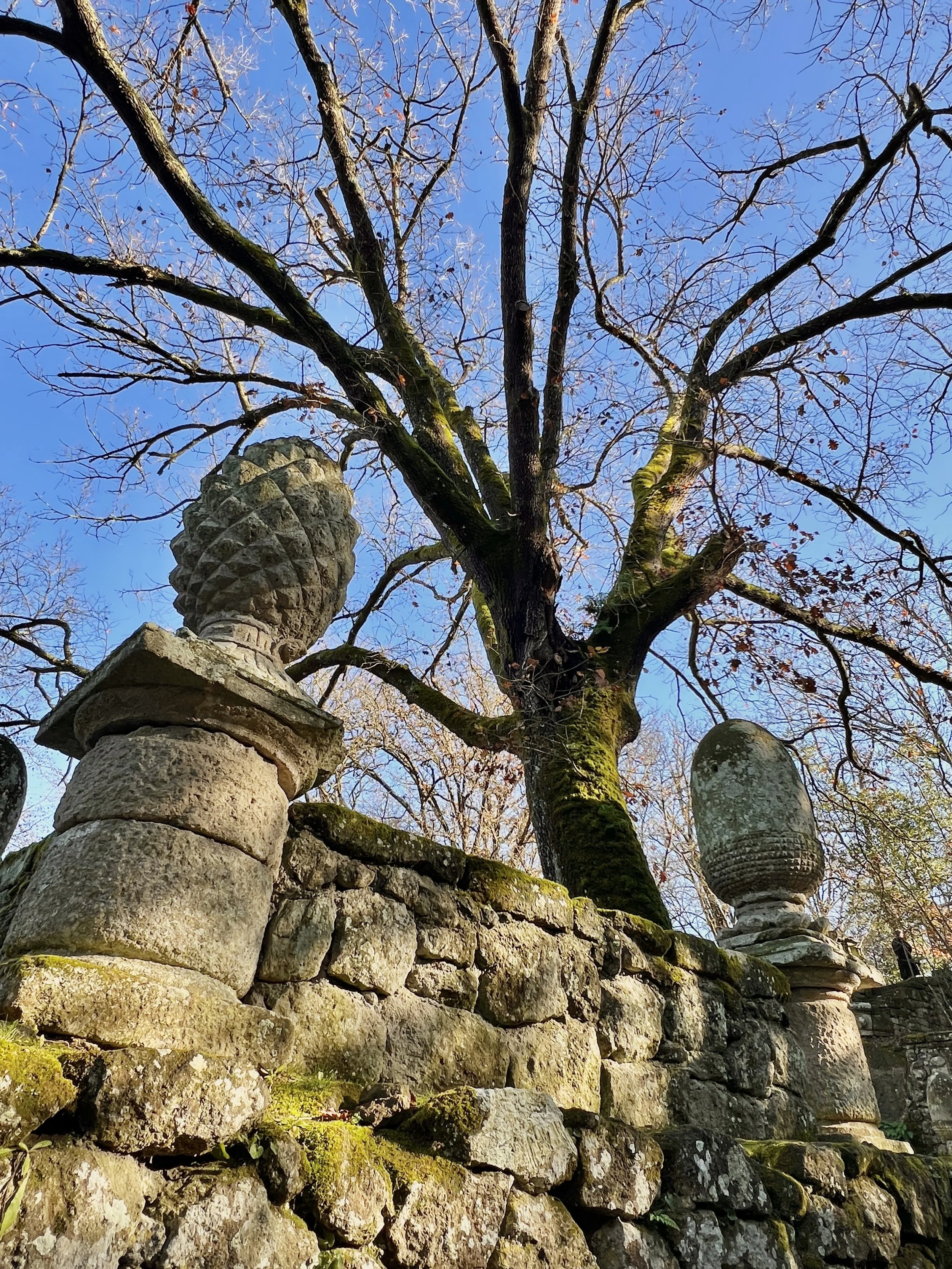 Bomarzo, Lazio - Casale Delle Querce, Umbria