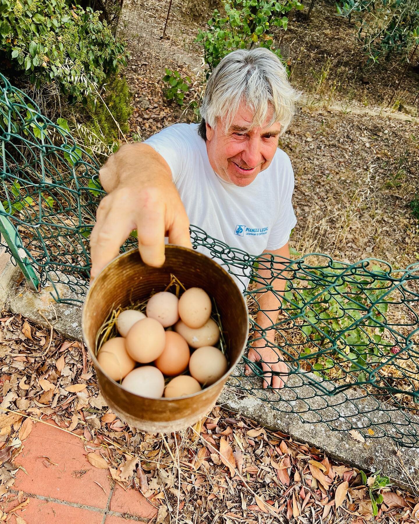 When our neighbor offers us fresh eggs from his chickens, we say SI GRAZIE! 🥰🥰🥰 This is Giorgio, a sweet man with a beautiful vegetable garden (which he always shares with us) and chickens. Oh I love having a farmhouse and great neighbors 🥰
.
We 
