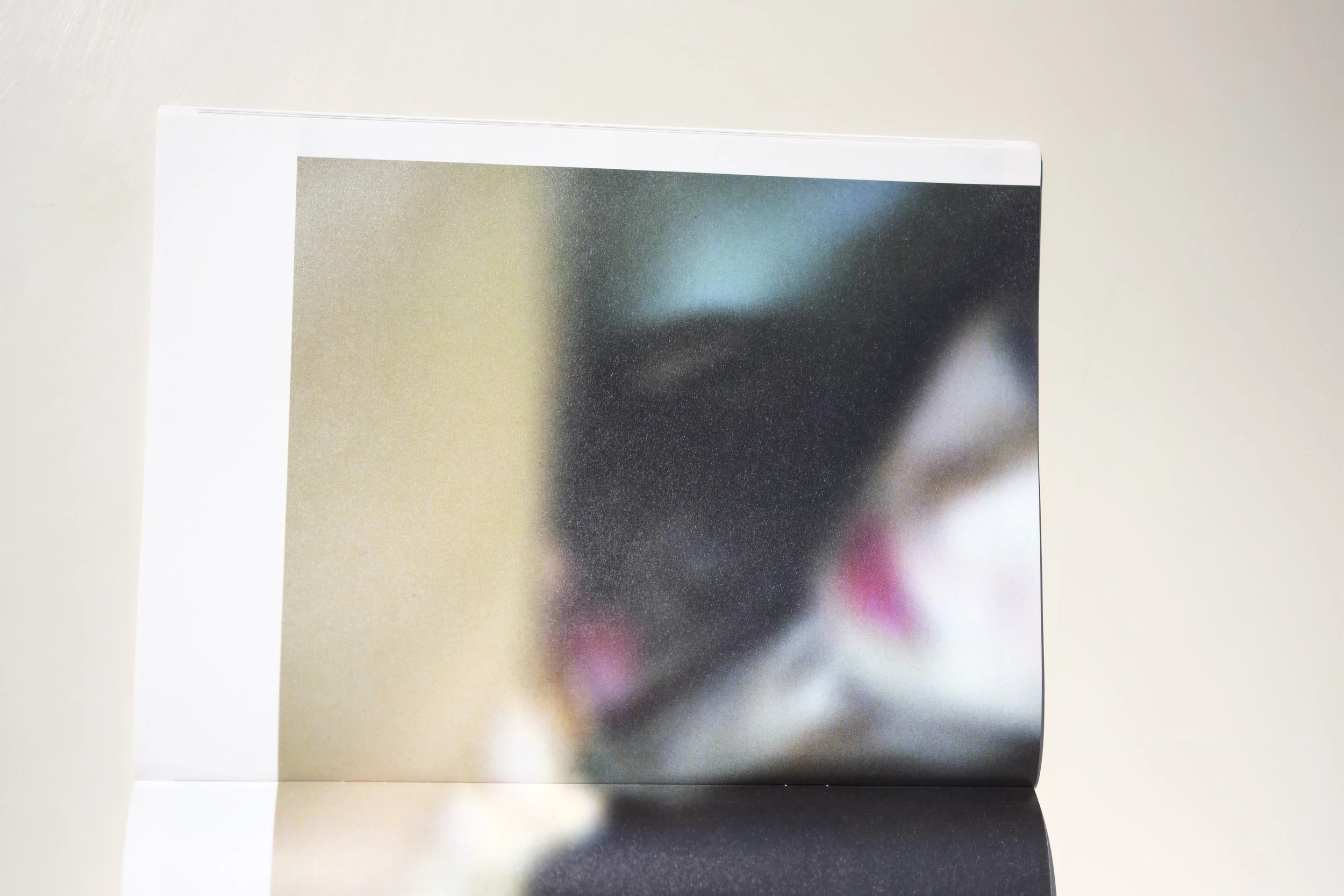 Landscapes: The Takashi Homma Purple Book