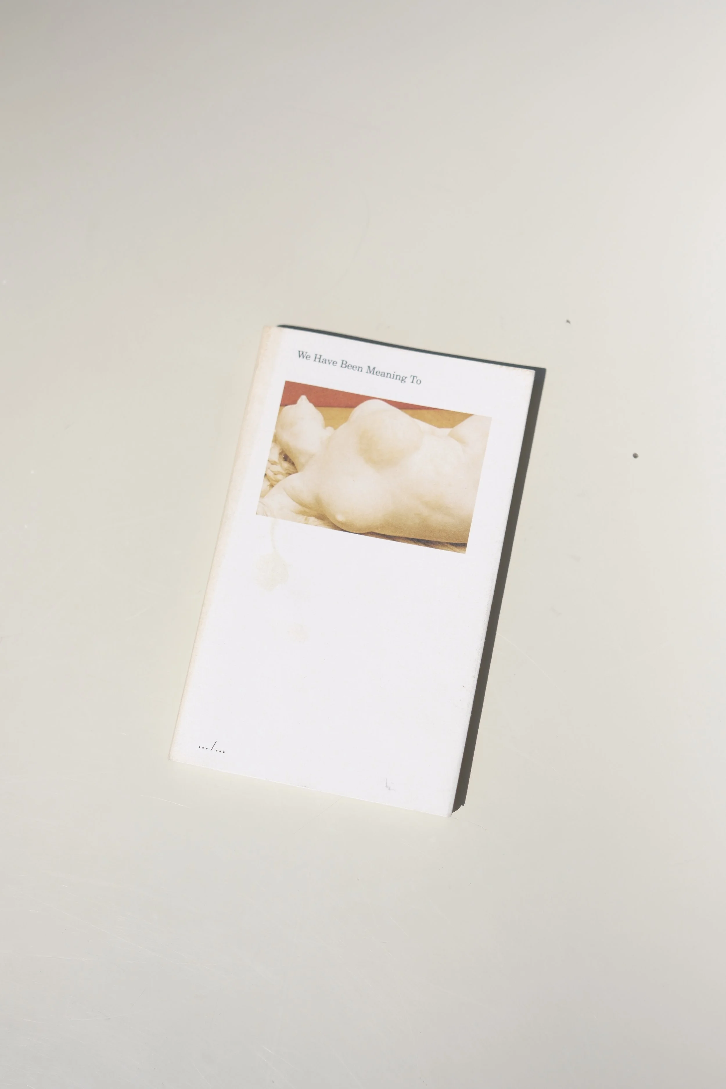 We have been meaning to [Marie Déhé and Haydée Touitou]