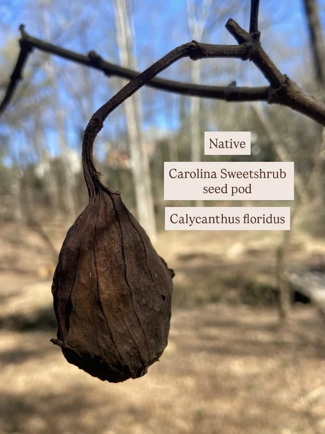 Photo Feb 17 2026, 11 53 14 AM.jpg