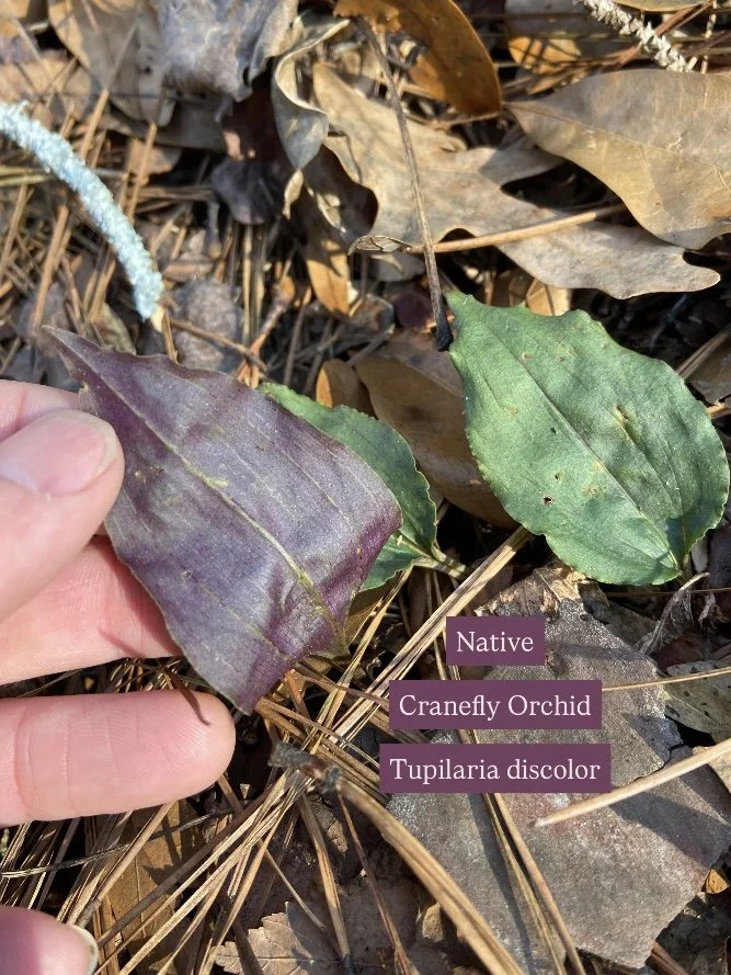 Photo Dec 18 2023, 10 46 45 AM.jpg