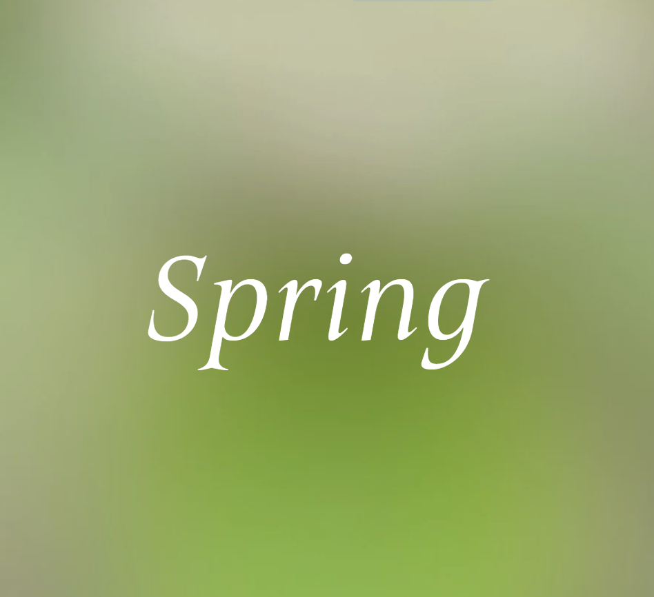 Screenshot 2026-02-16 113031.png