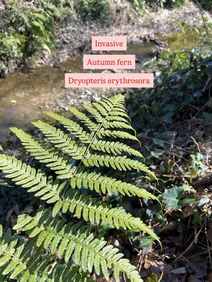 Photo Feb 17 2026, 12 05 42 PM.jpg