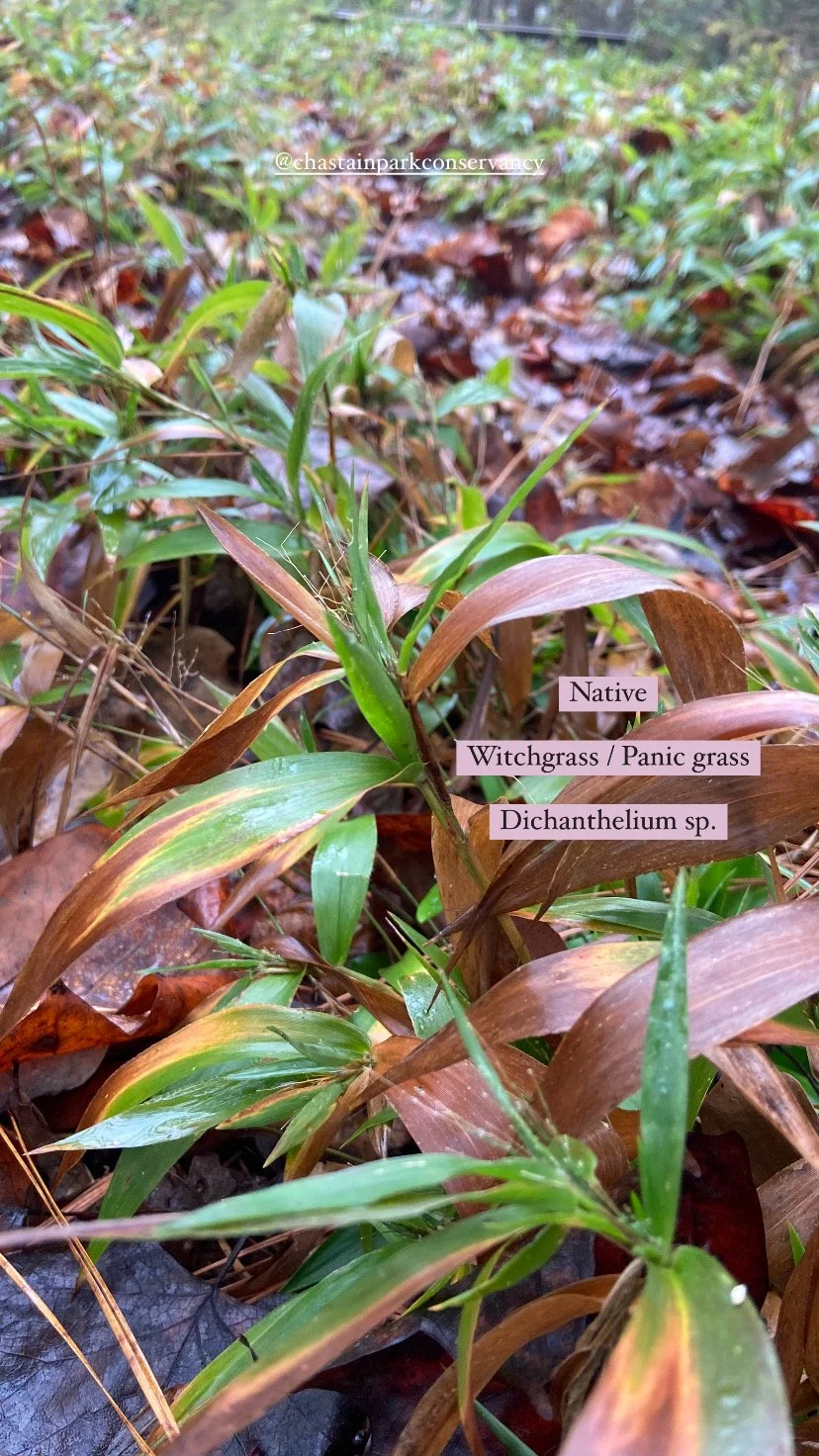 Photo Nov 11 2024, 9 33 12 AM.jpg