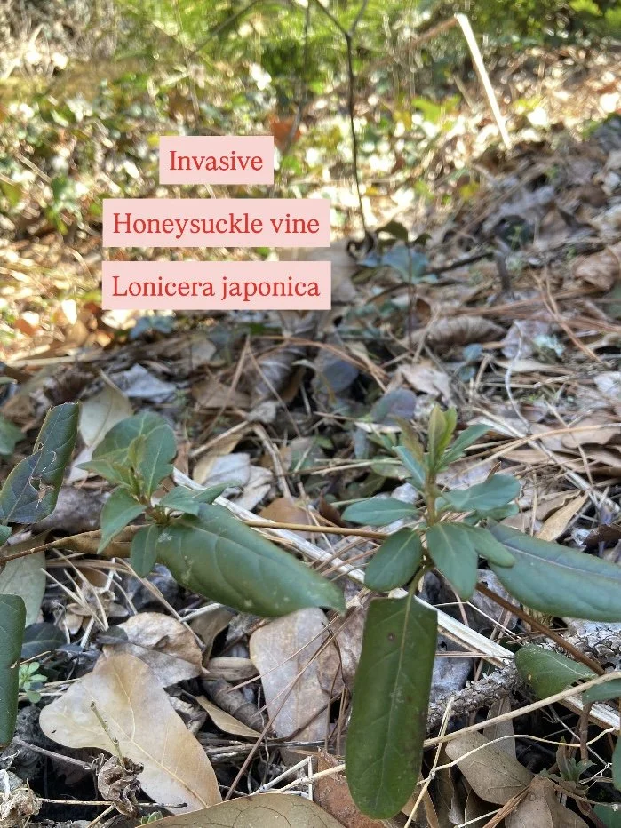 Photo Feb 17 2026, 12 05 06 PM.jpg