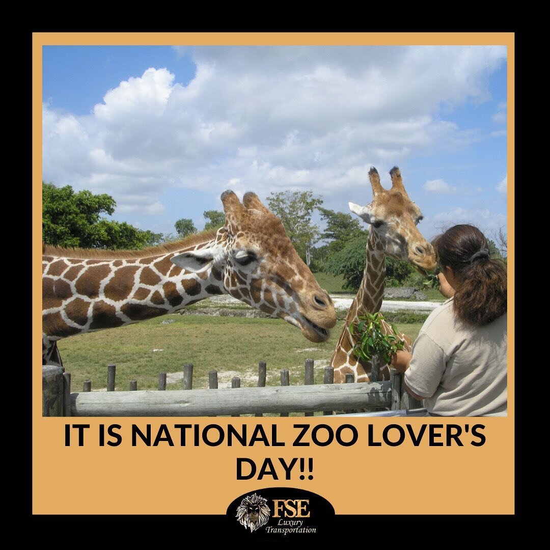 If you are visiting Central Florida and looking for activities with your kids that are not theme park-related, consider visiting the Central Florida Zoo!
⠀⠀⠀⠀⠀⠀⠀⠀⠀
Today is National Zoo Lover's Day!!
⠀⠀⠀⠀⠀⠀⠀⠀⠀
Some things to do at the zoo:

-Seminole