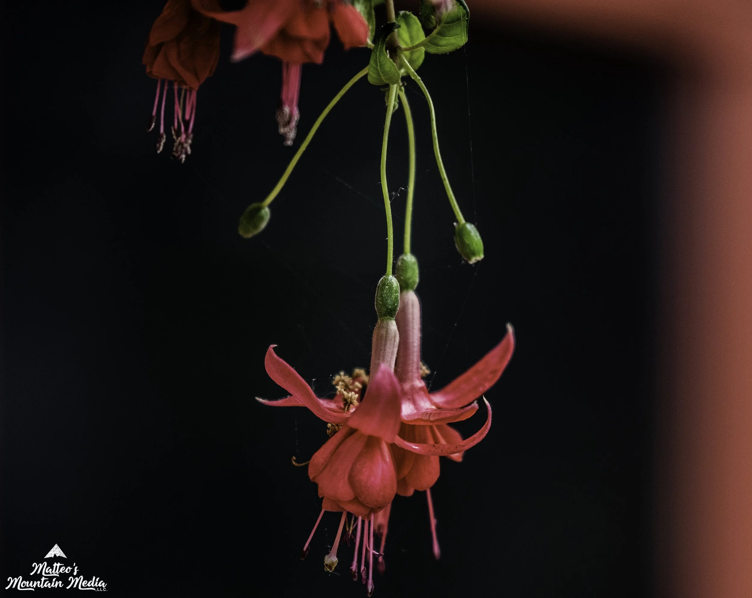 Untitled-850.jpg