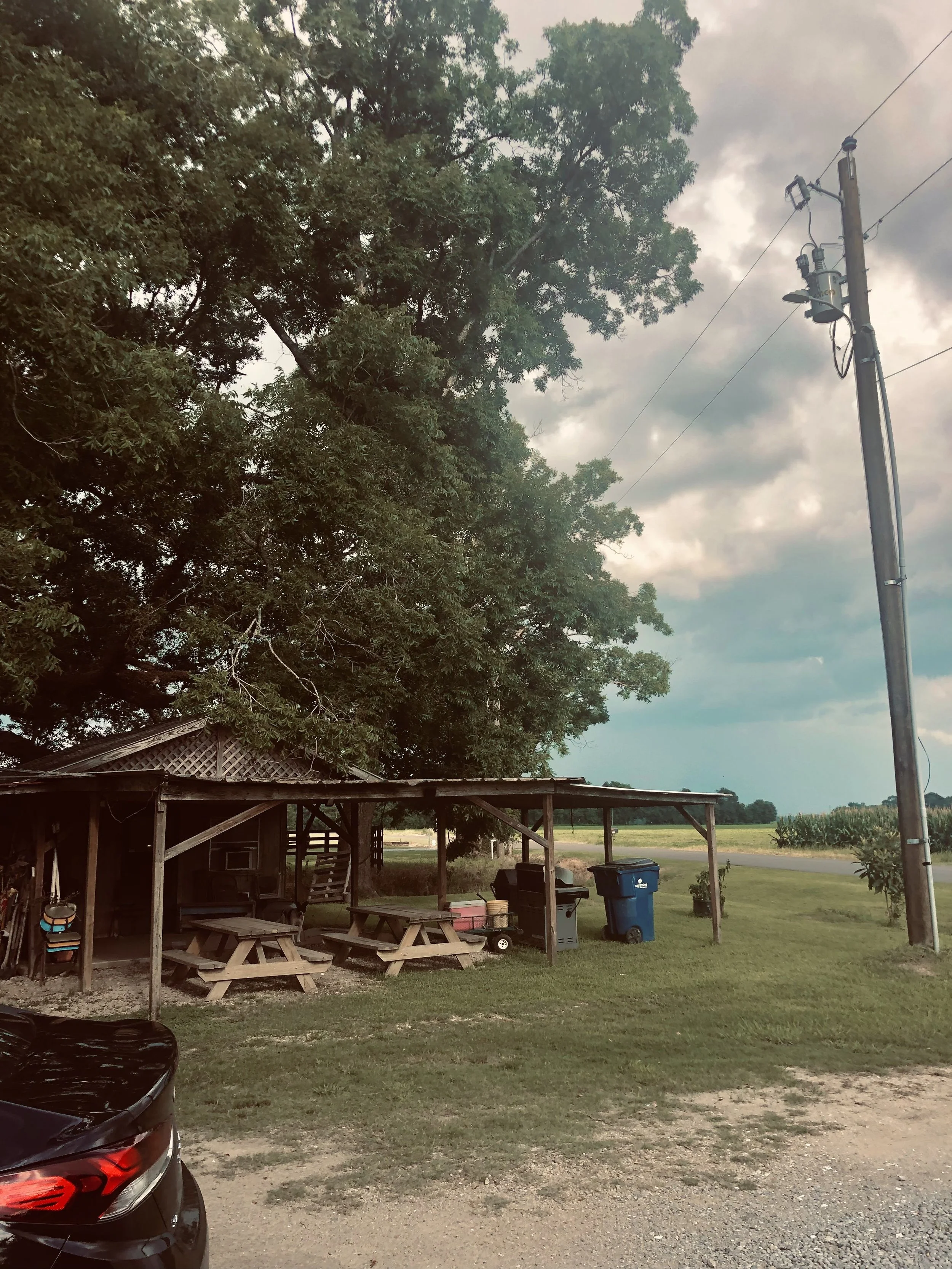Creole Country Livin' JPEG.jpg