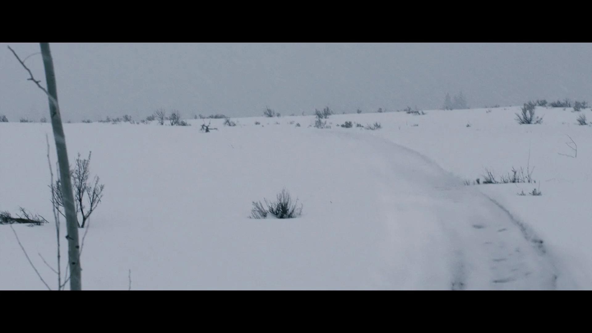 Wind River_t00.mkv_20260802_181951.120.jpg
