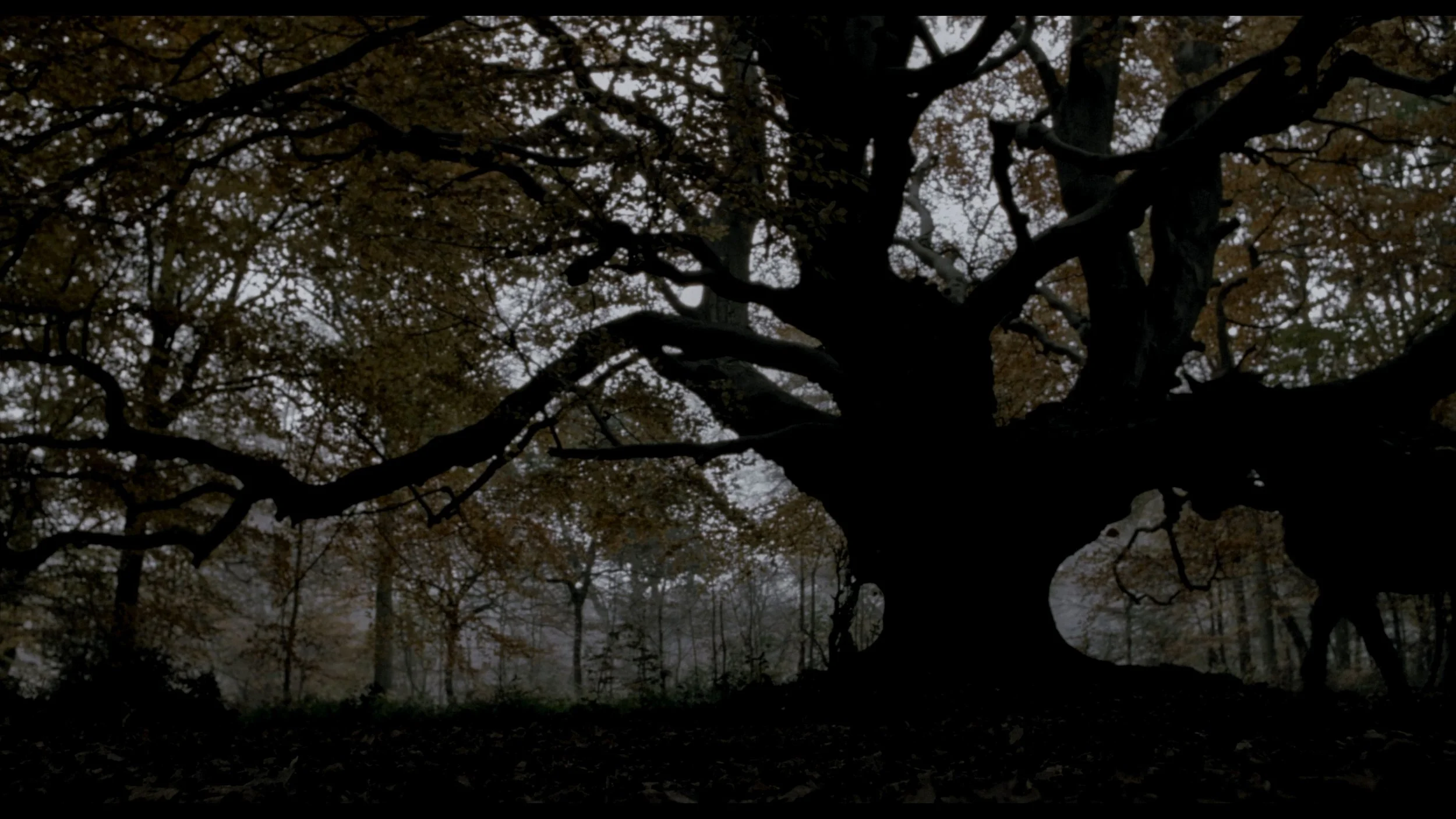 Sleepy Hollow (Remastered)_t00.mkv_20260513_215019.391.jpg