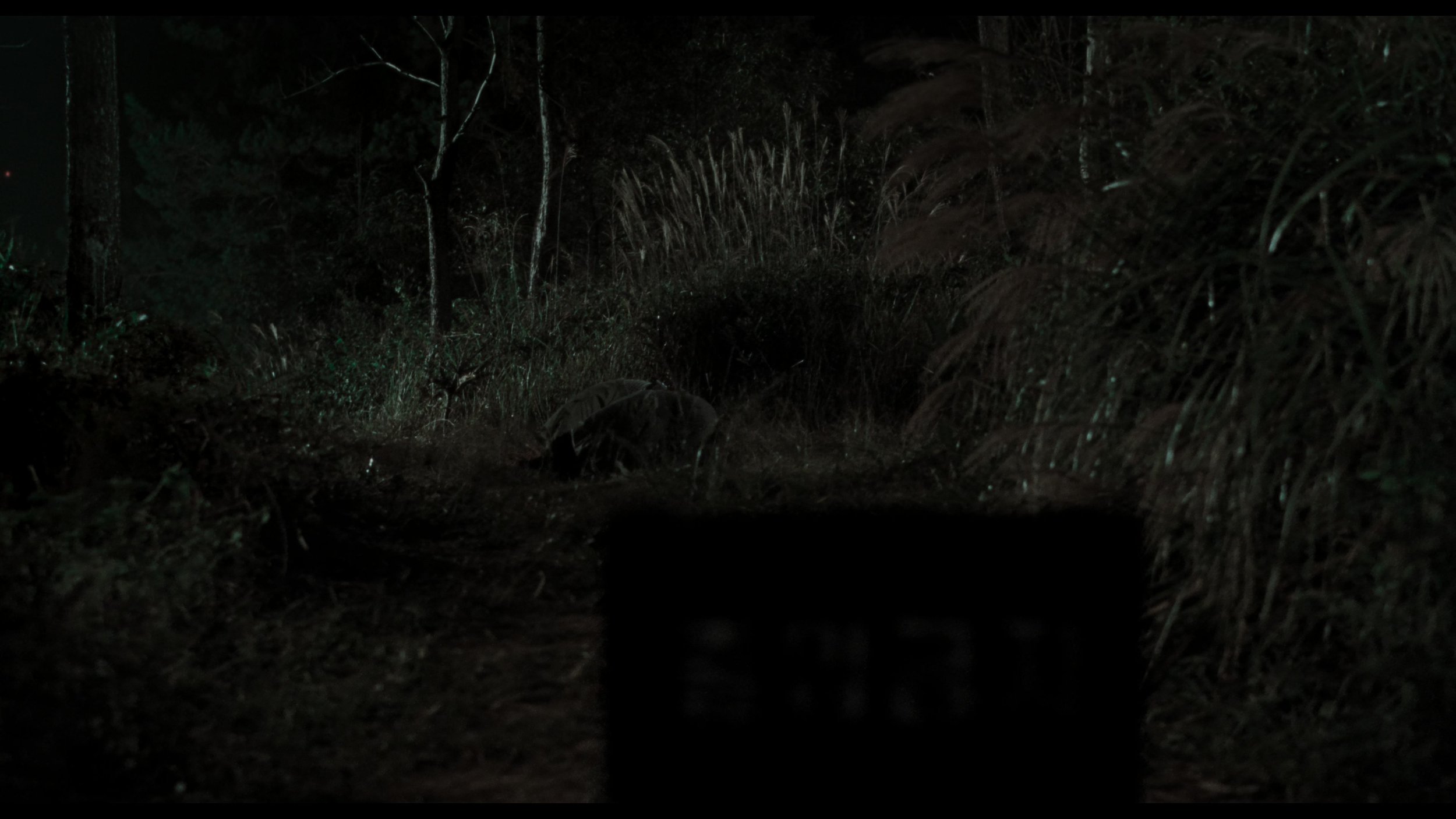 Memories Of Murder_t00.mkv_20260419_122748.839.jpg